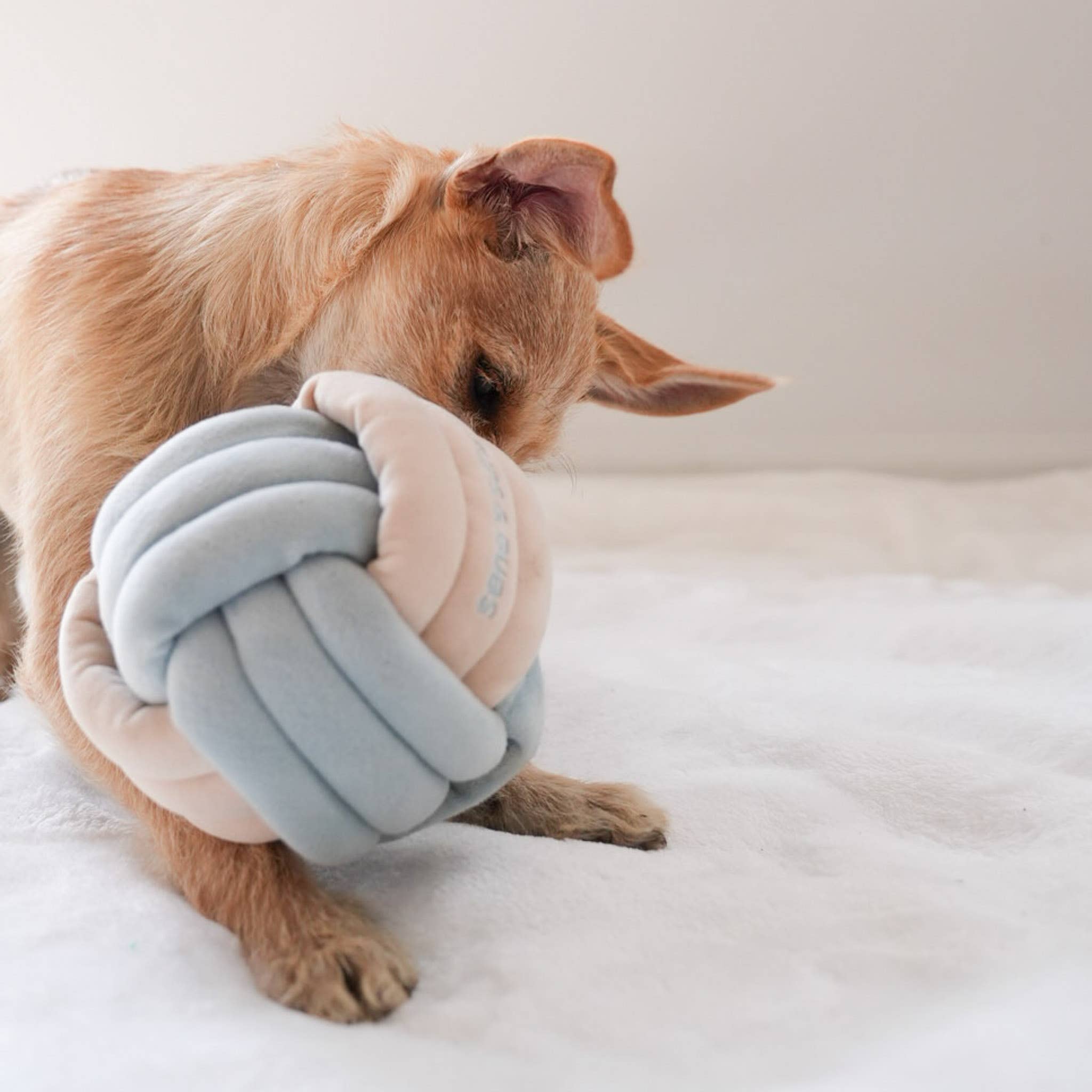 Pups & Bubs- Snuffle Knot Nosework Toy