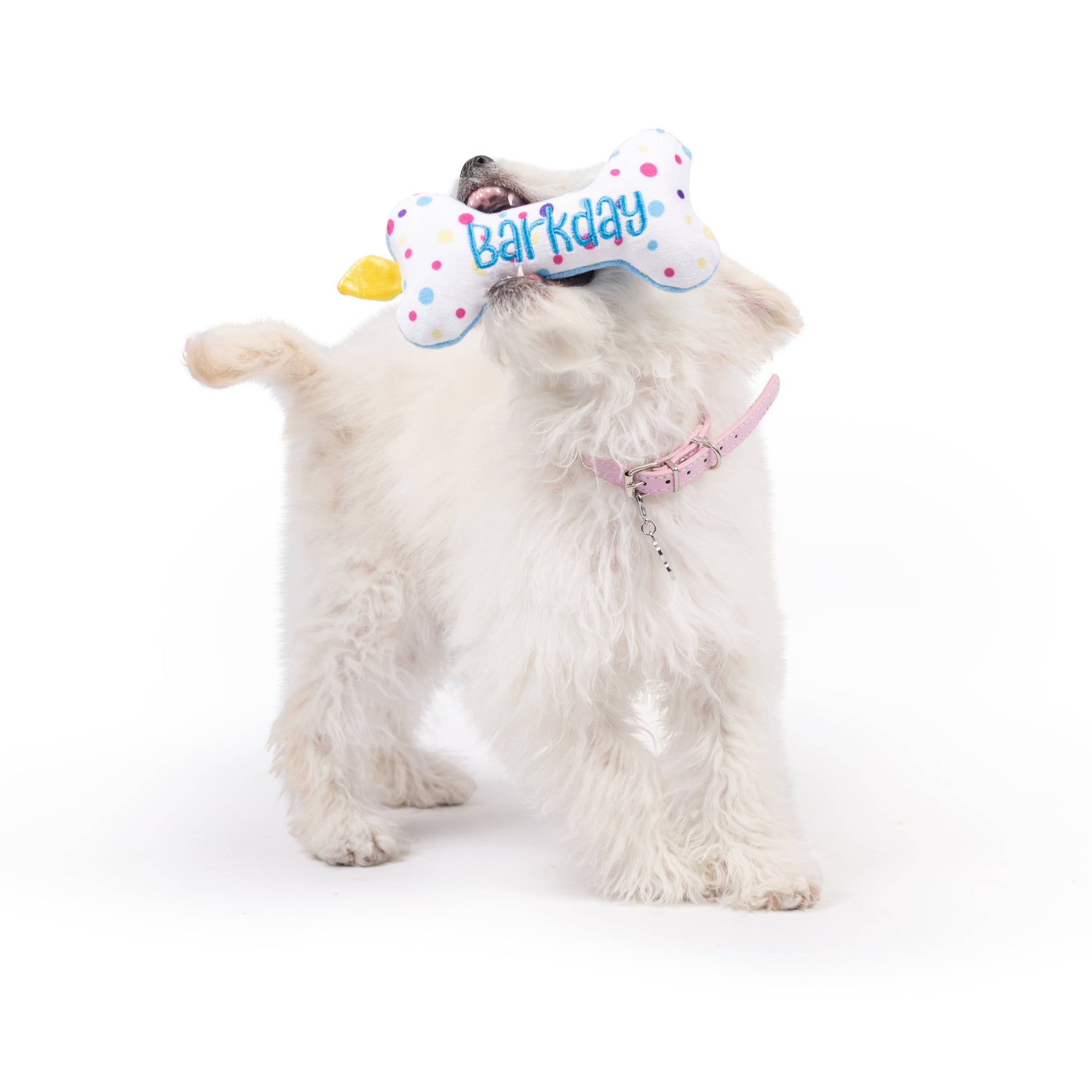 Huxley & Kent - Tiny Tuff It's My Barkday Bone