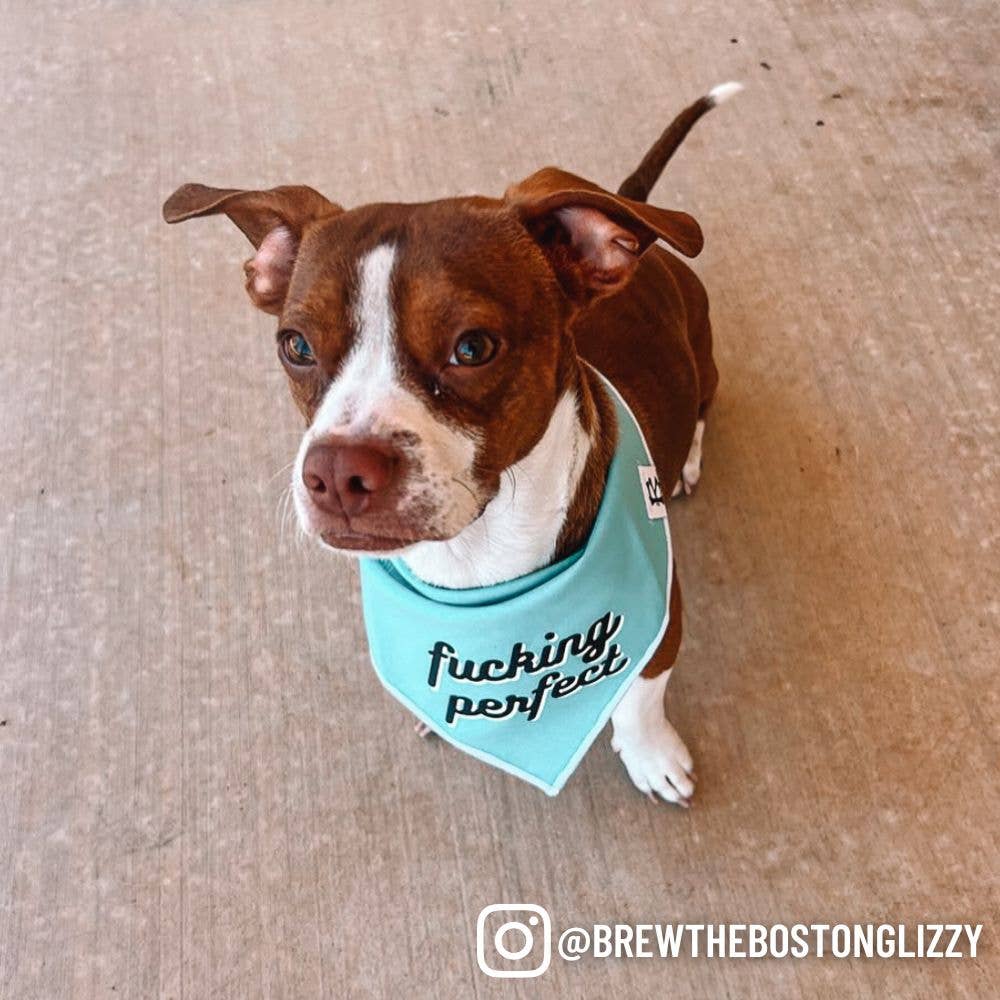 Boneyard Co. - "F*cking Perfect" Funny and Sassy Dog Bandana: Small / Tie-On
