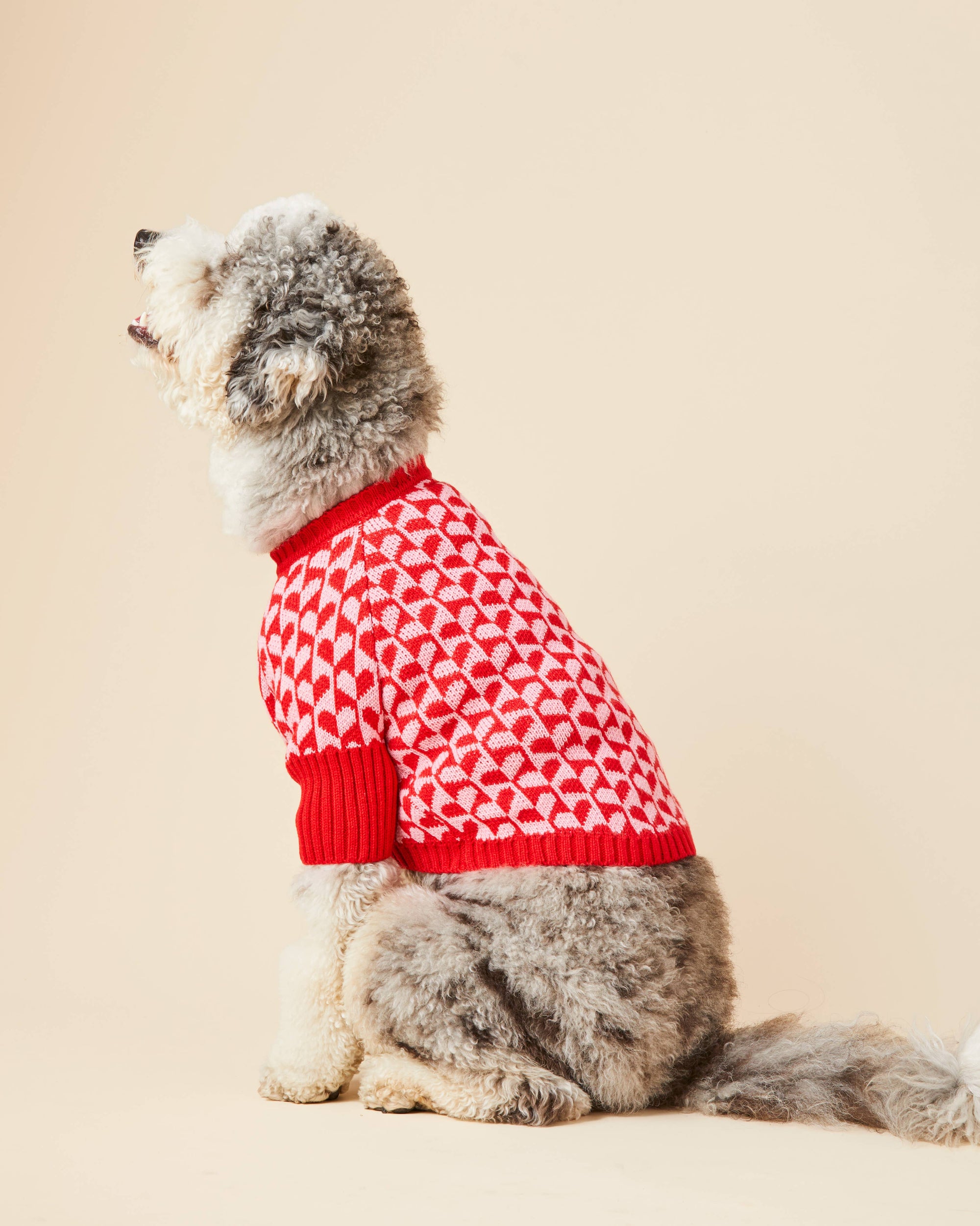 The Foggy Dog - Heart Stripe Valentine's Day Dog Sweater: XL