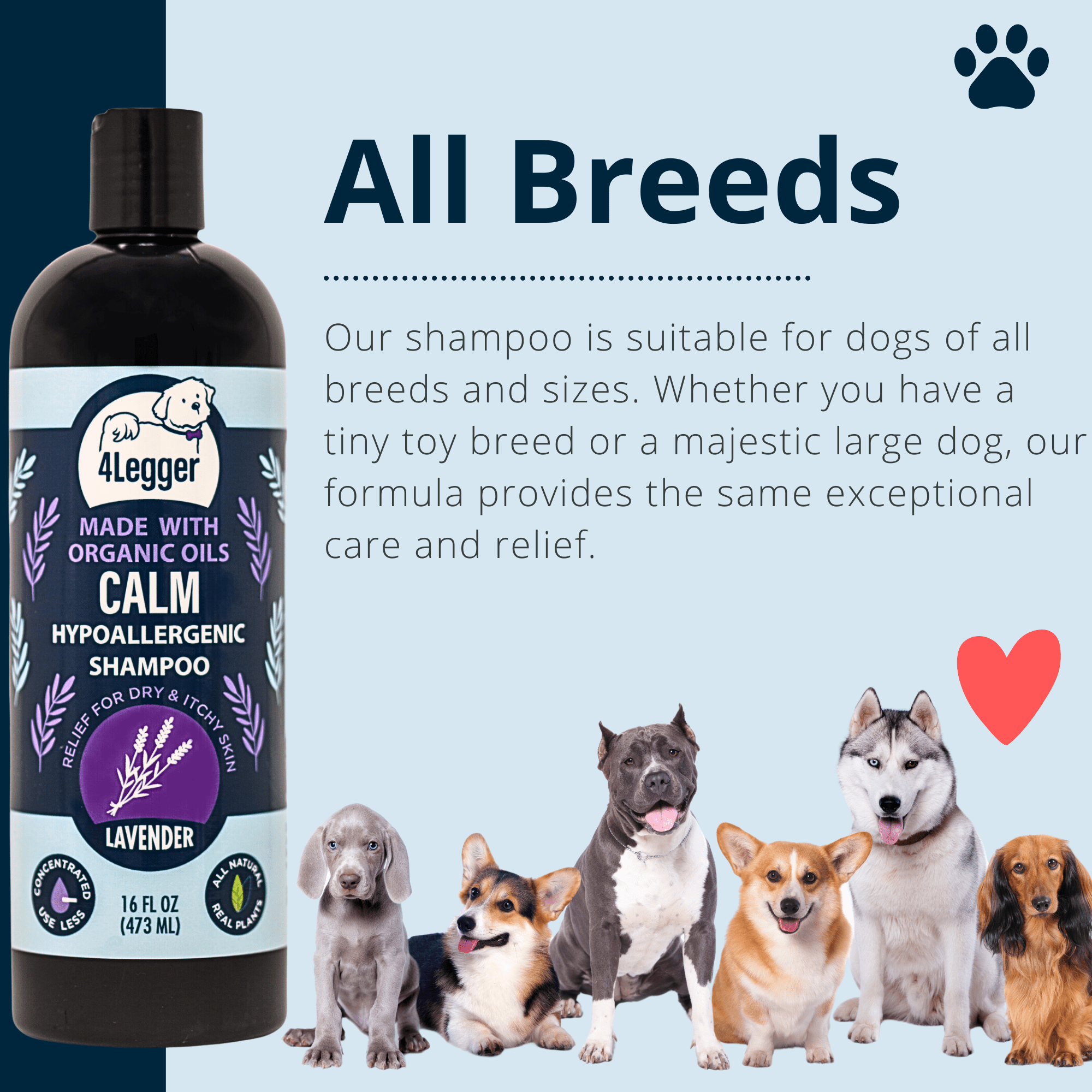 4-Legger - CALM Organic Lavender Natural Dog Shampoo with Calendula: 16 oz bottle