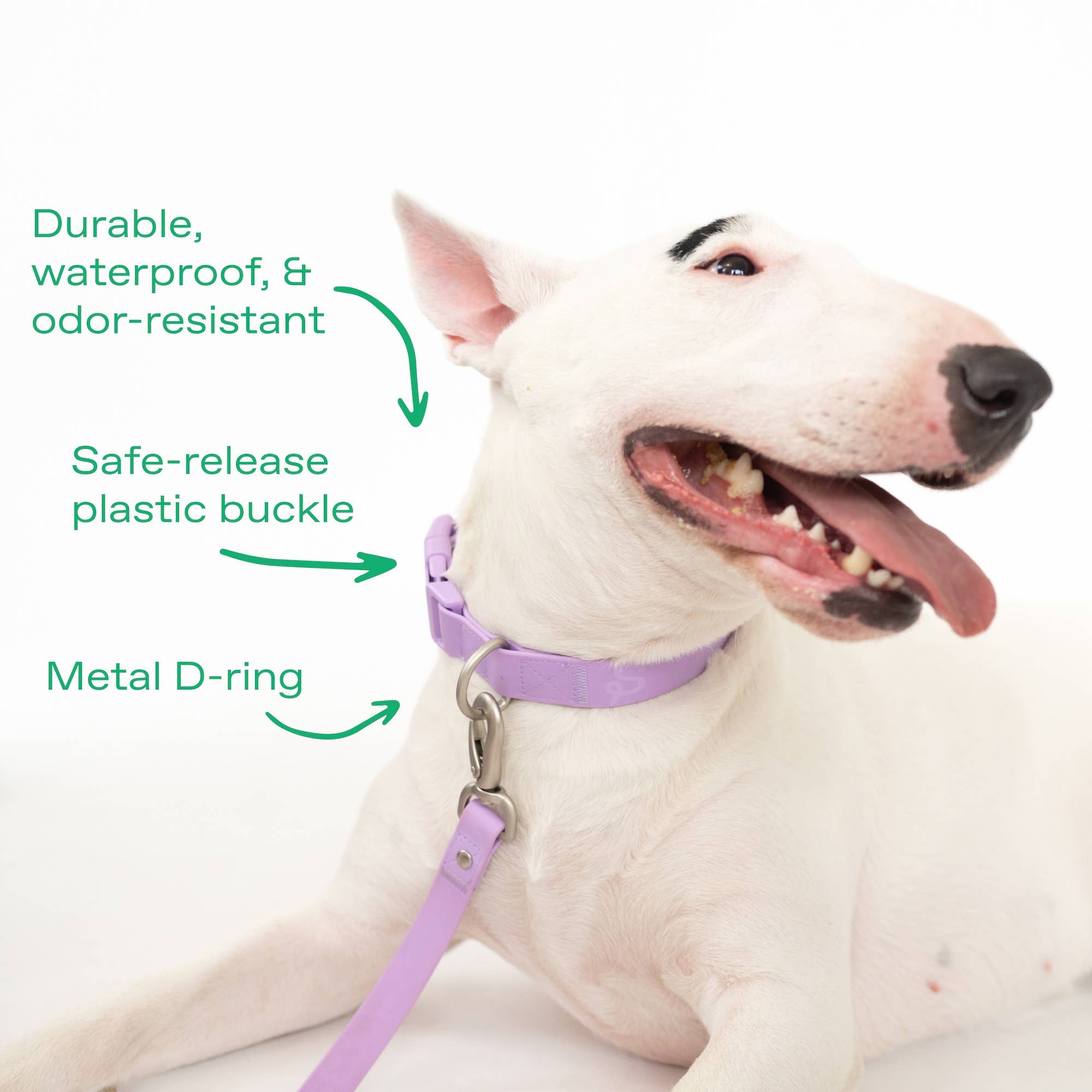 Springland Pets - Original Waterproof Dog Collar, Adjustable (4 Pack): Poppy (all sizes)