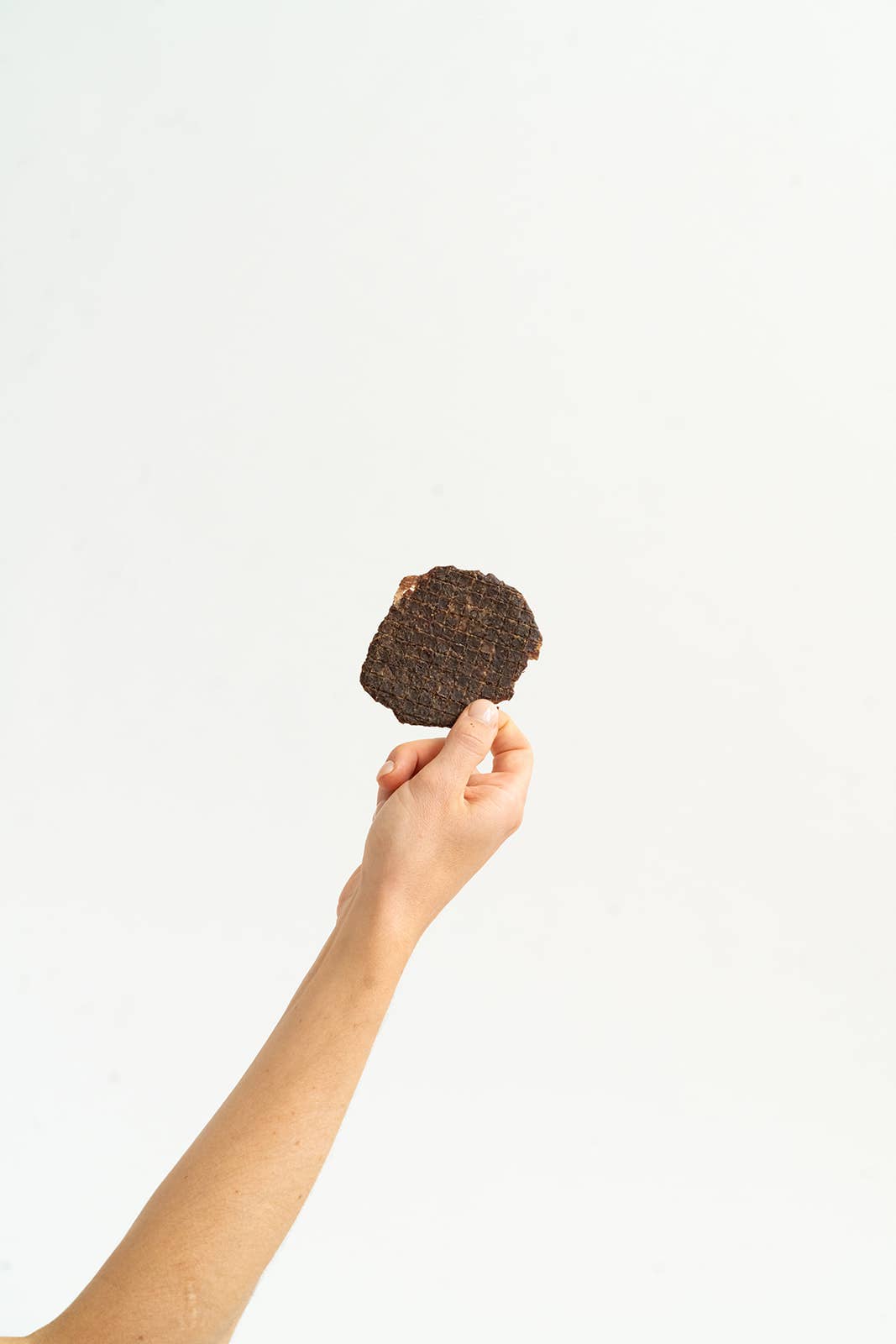 Winnie Lou- Bison Burger Jerky (2.5oz)