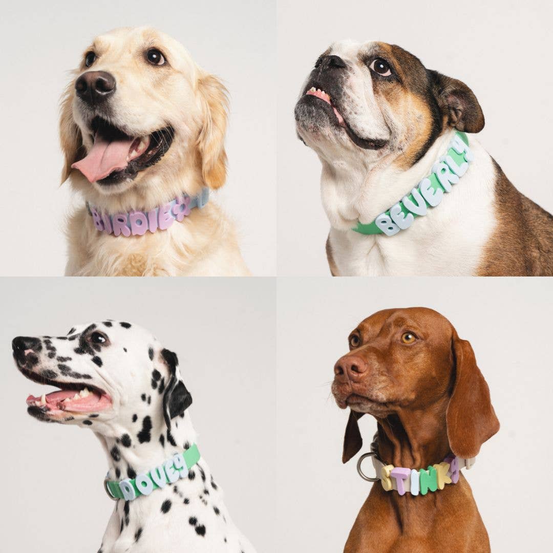 Springland Pets - Silicone Dog Charms for Dog Collar/Leash/Bottle (63 Charms): Butter