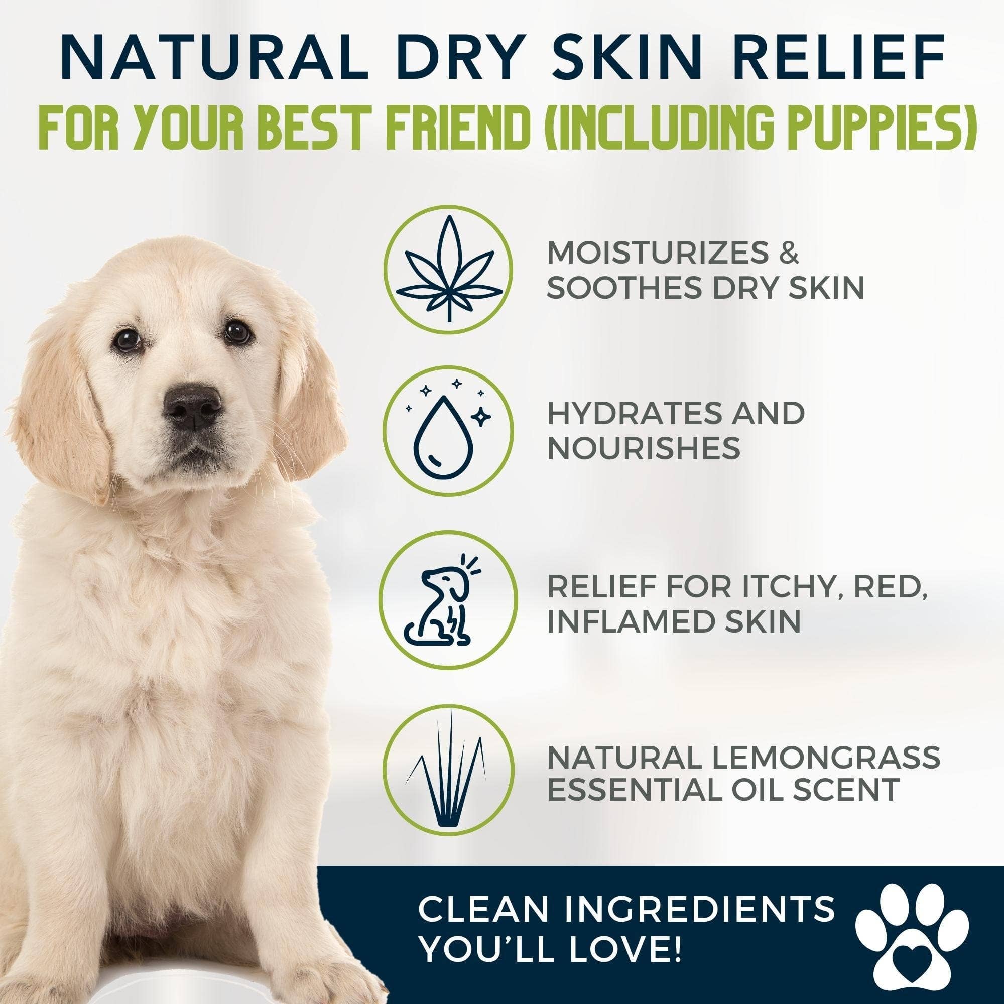 4-Legger - MOISTURIZE Organic Hemp Dog Shampoo with Lemongrass: (16 oz)