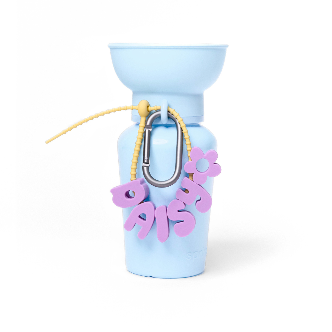 Springland Pets - Silicone Dog Charms, Personalize Pet Collar (63 Pack Assort): Sky Blue