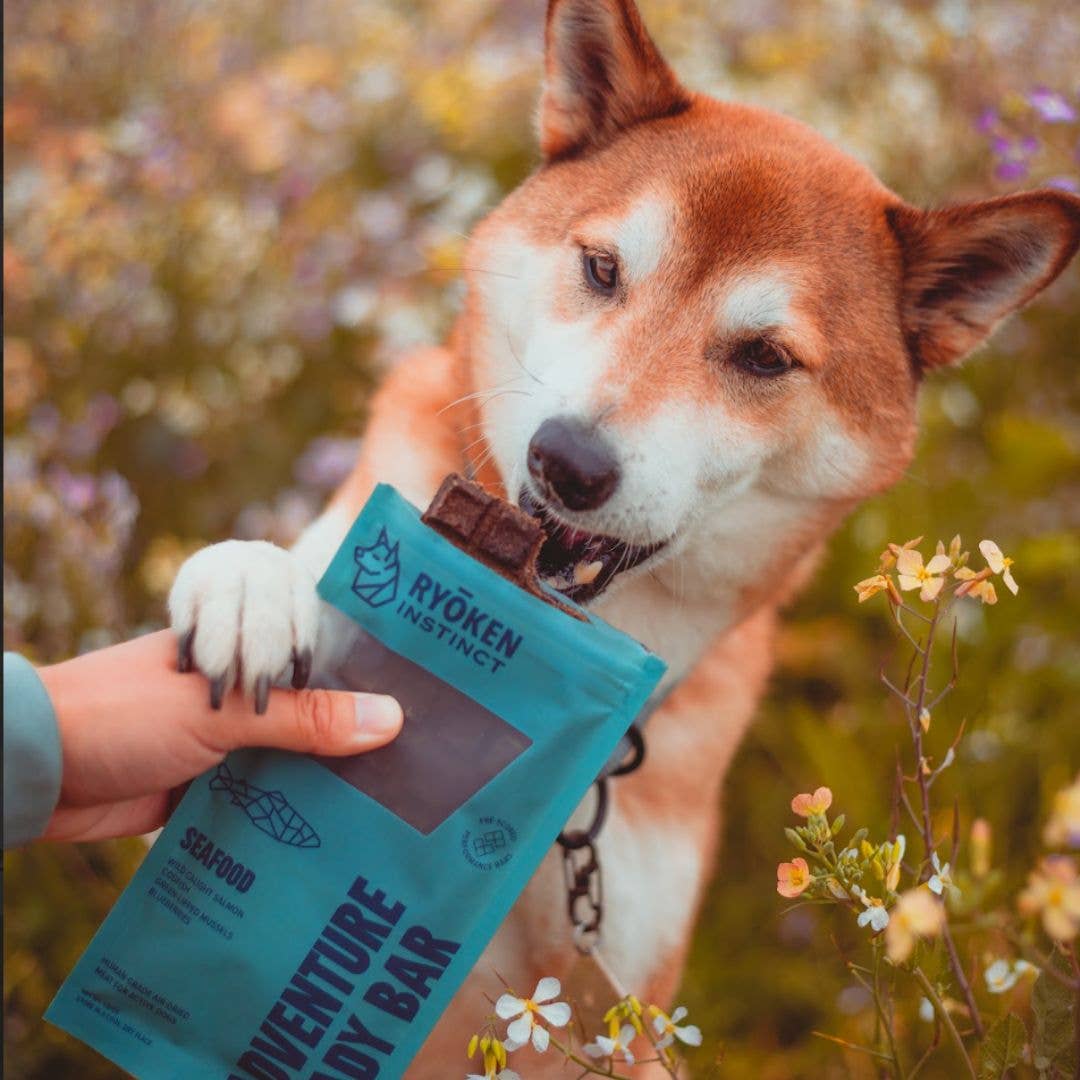 RYŌKEN INSTINCT - Seafood Treat & Snack Bar for Active Dogs -Energy & Recovery