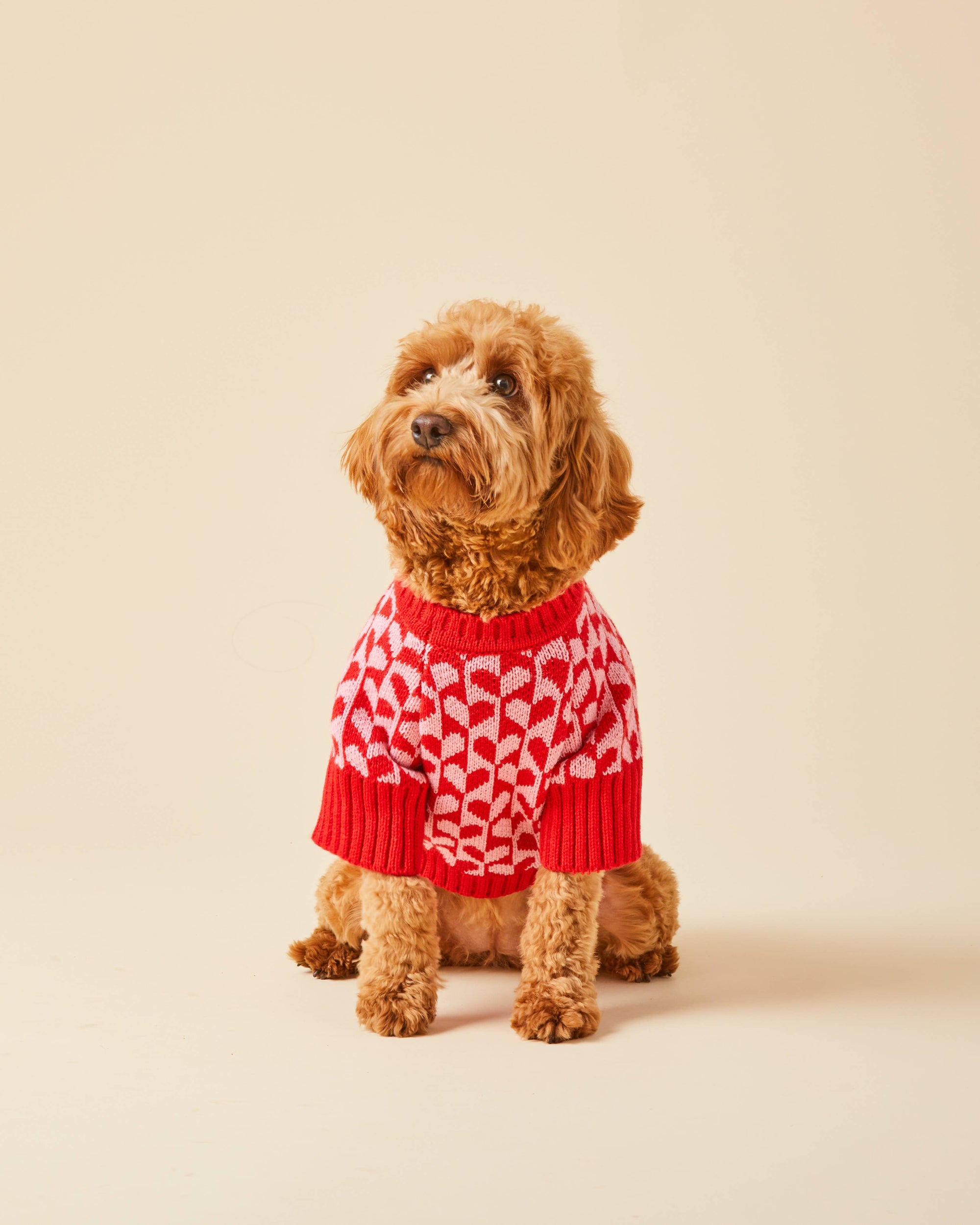 The Foggy Dog - Heart Stripe Valentine's Day Dog Sweater: M