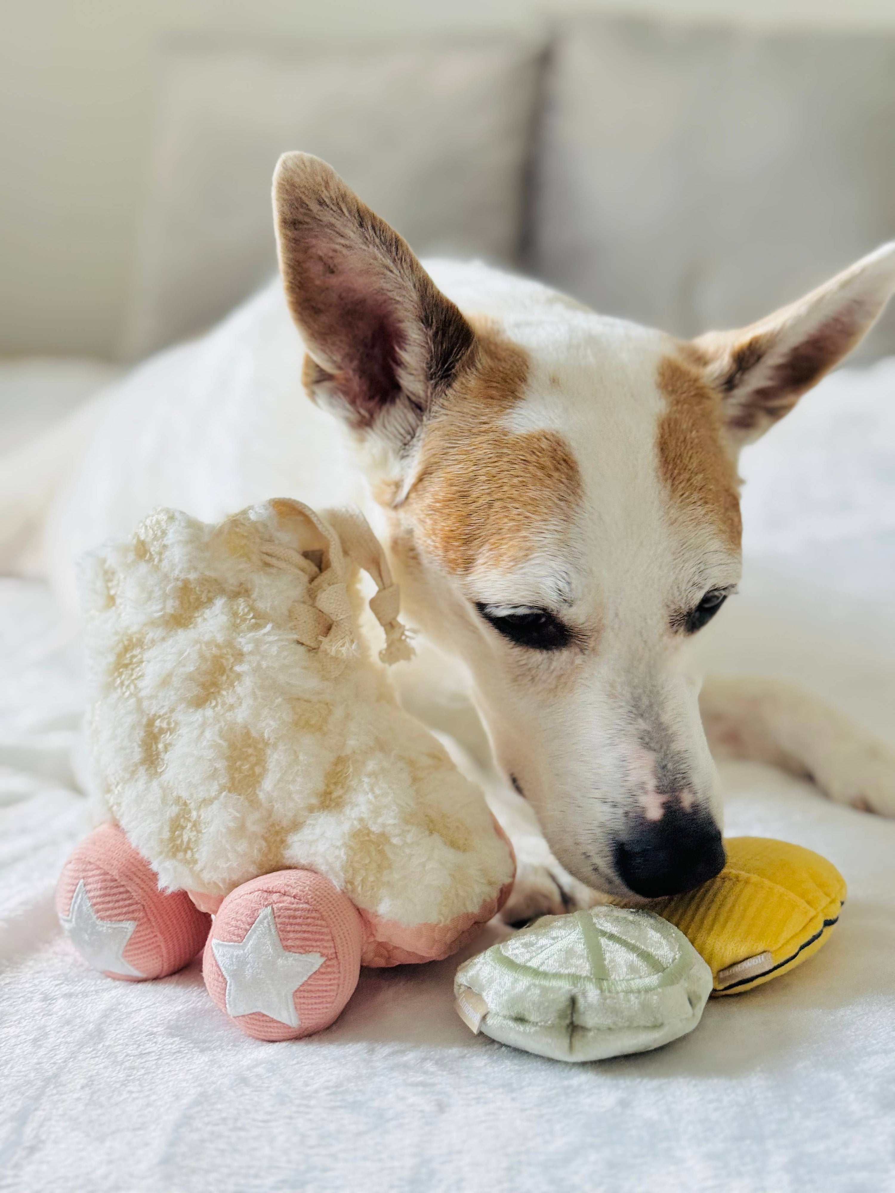 Lambwolf Collective - Roller Skate //ENRICHMENT DOG TOY
