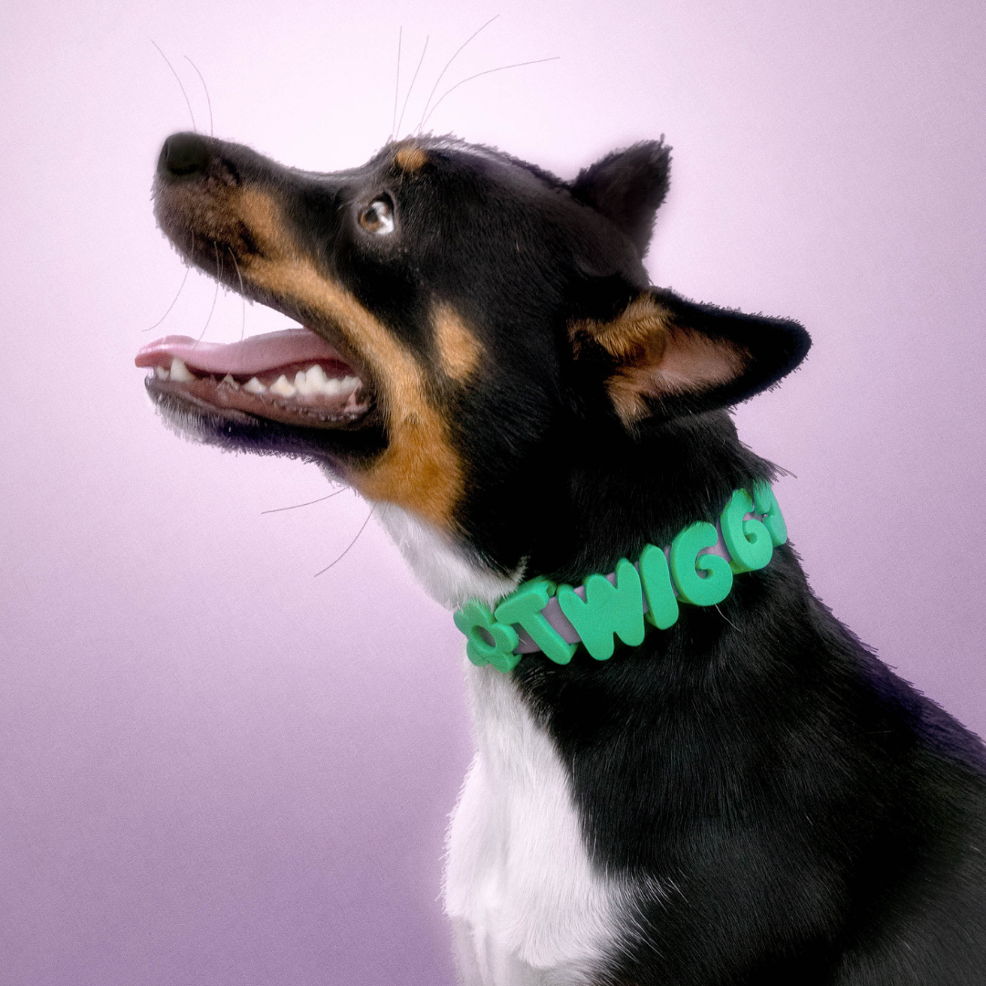 Springland Pets - Waterproof & Adjustable Dog Collar (Small, Medium, Large)