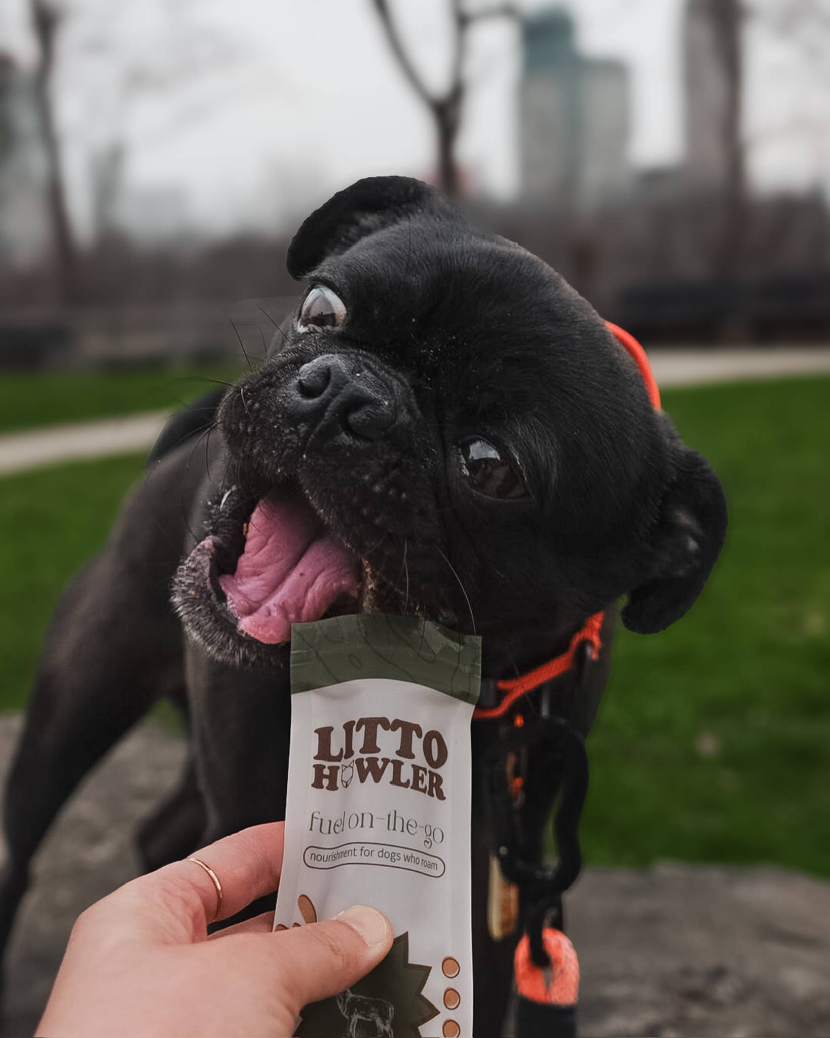 Litto Howler | Wild Venison Stick