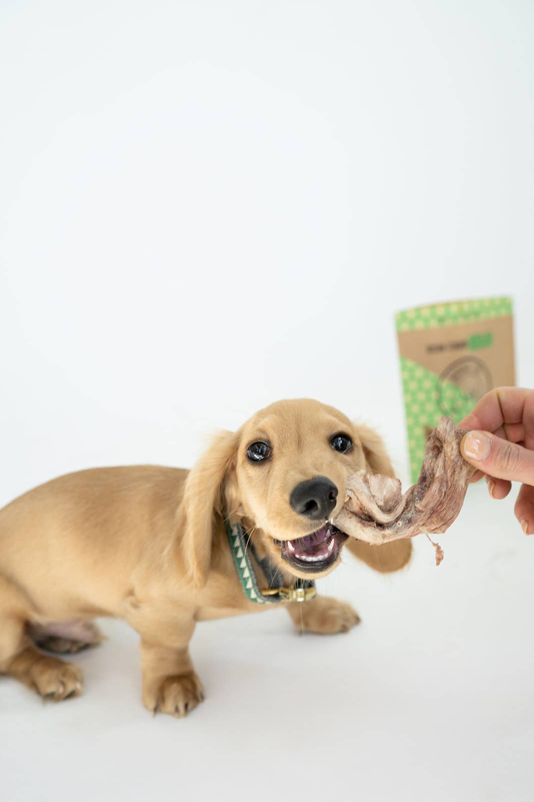 Winnie Lou - Bison Tendon Chews - Bulk (25 tendons)