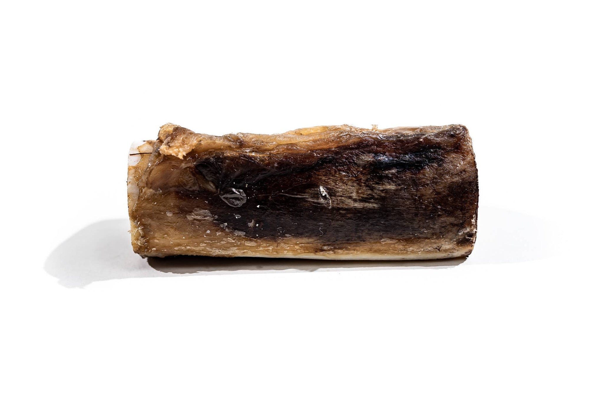 Winnie Lou - Bison Marrow Bone - 4"
