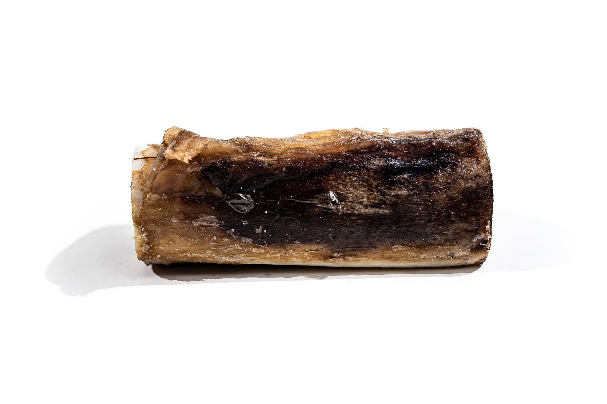 Winnie Lou - Bison Marrow Bone - 4"