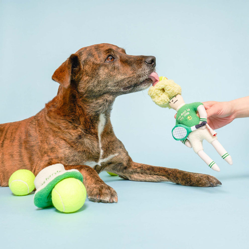 
                  
                    the furryfolks - Tennis Hooman Nosework Toy
                  
                