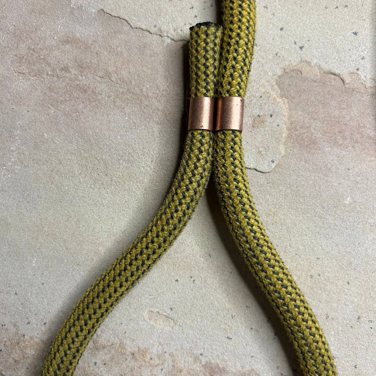 Joshua Tree Leash & Lead - Fool’s Gold