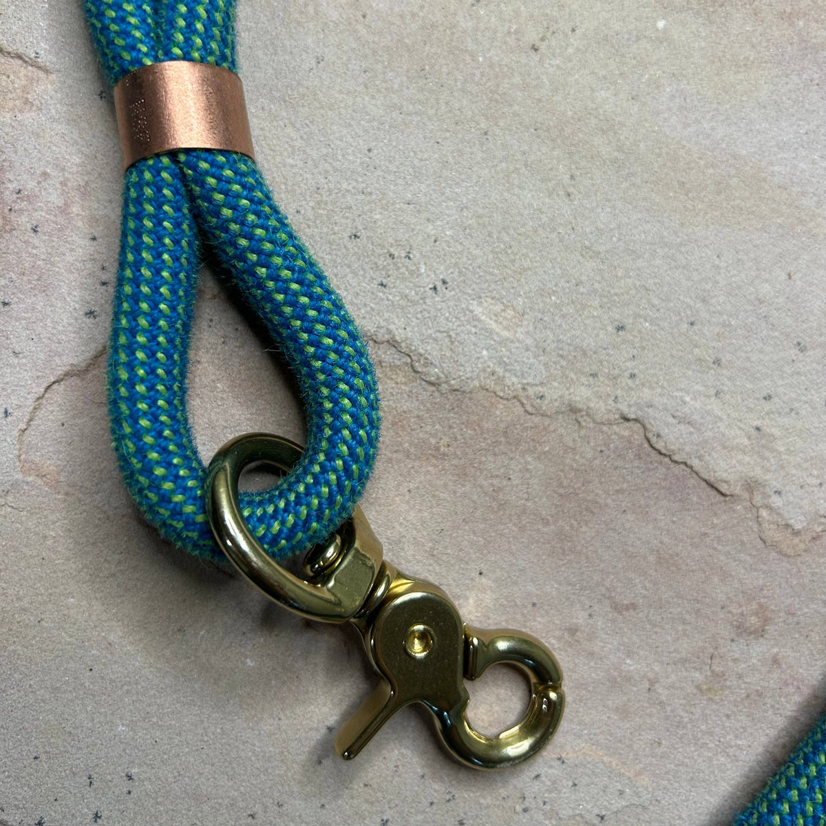 Joshua Tree Leash & Lead - Electric Blue
