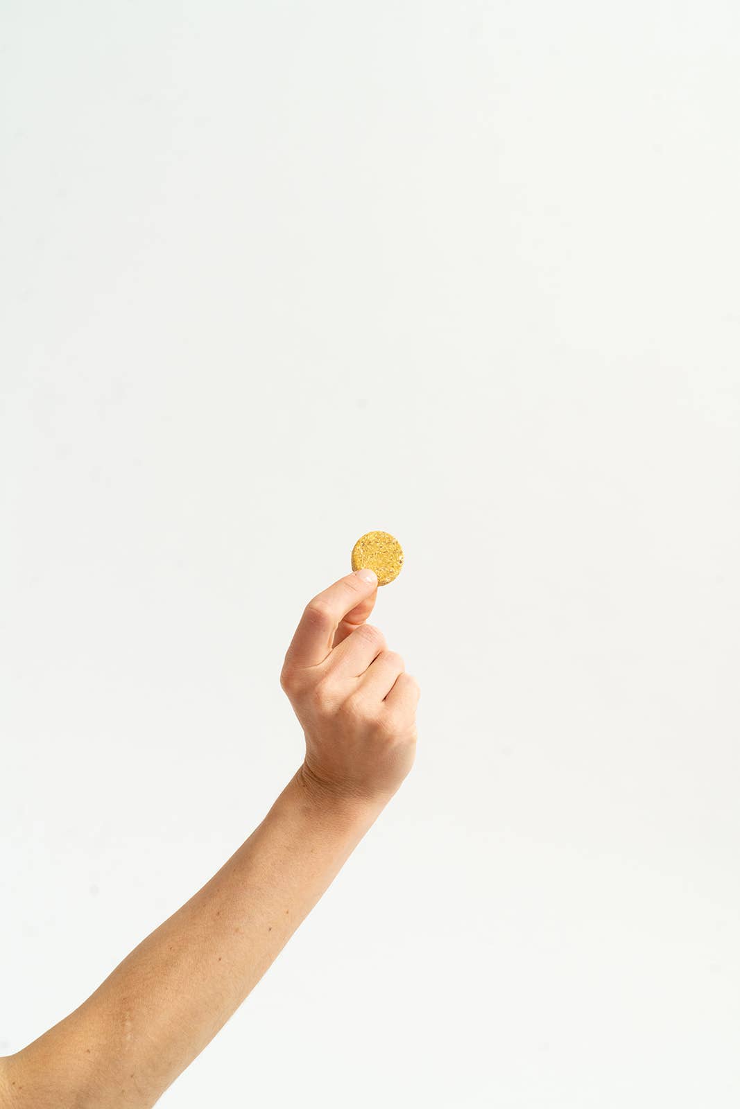 Winnie Lou - Pumpkin Apple Canine Cookies