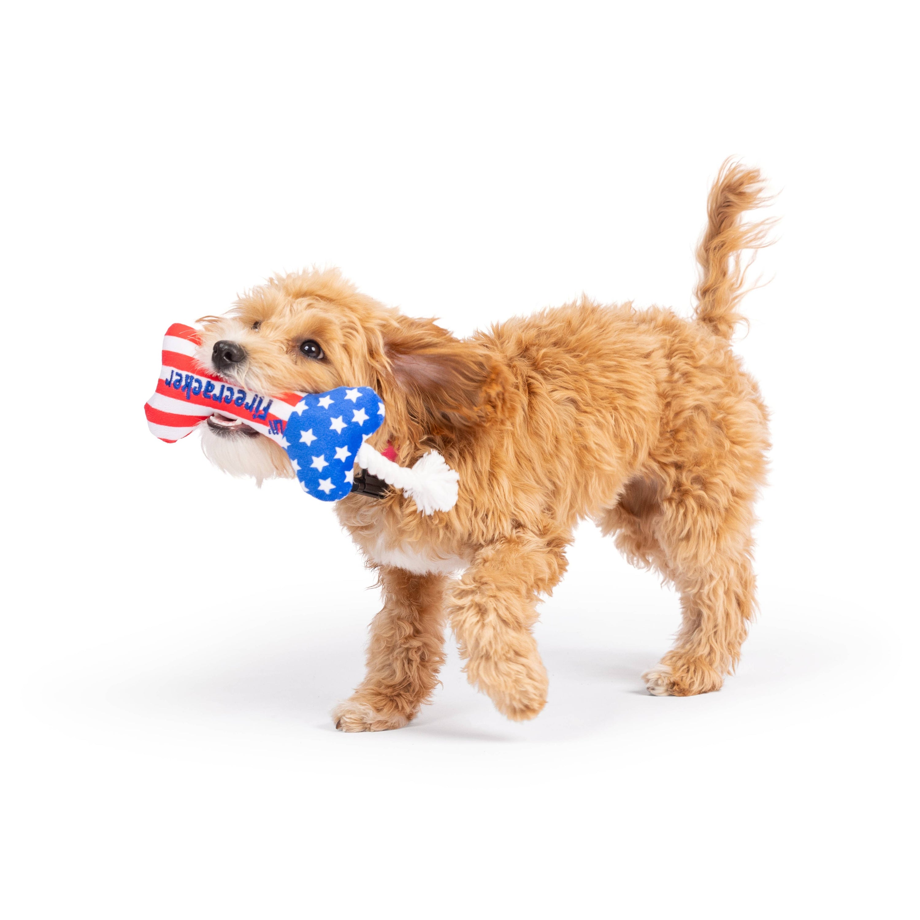 Huxley & Kent - Tiny Tuff Lil' Firecracker Bone