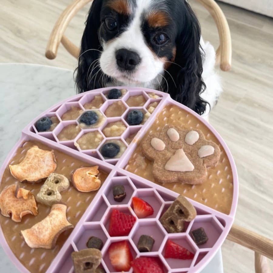 Bark Bistro - Seasonal Drop Sweetheart Snack (V-Day)  Buddy Budder