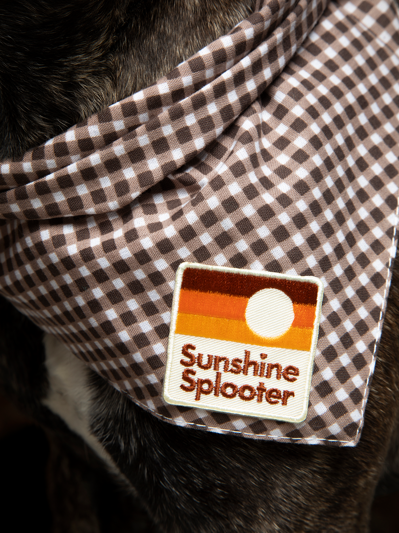 Scout's Honour Pty Ltd - Sunshine Splooter iron-on patch for dogs and cats