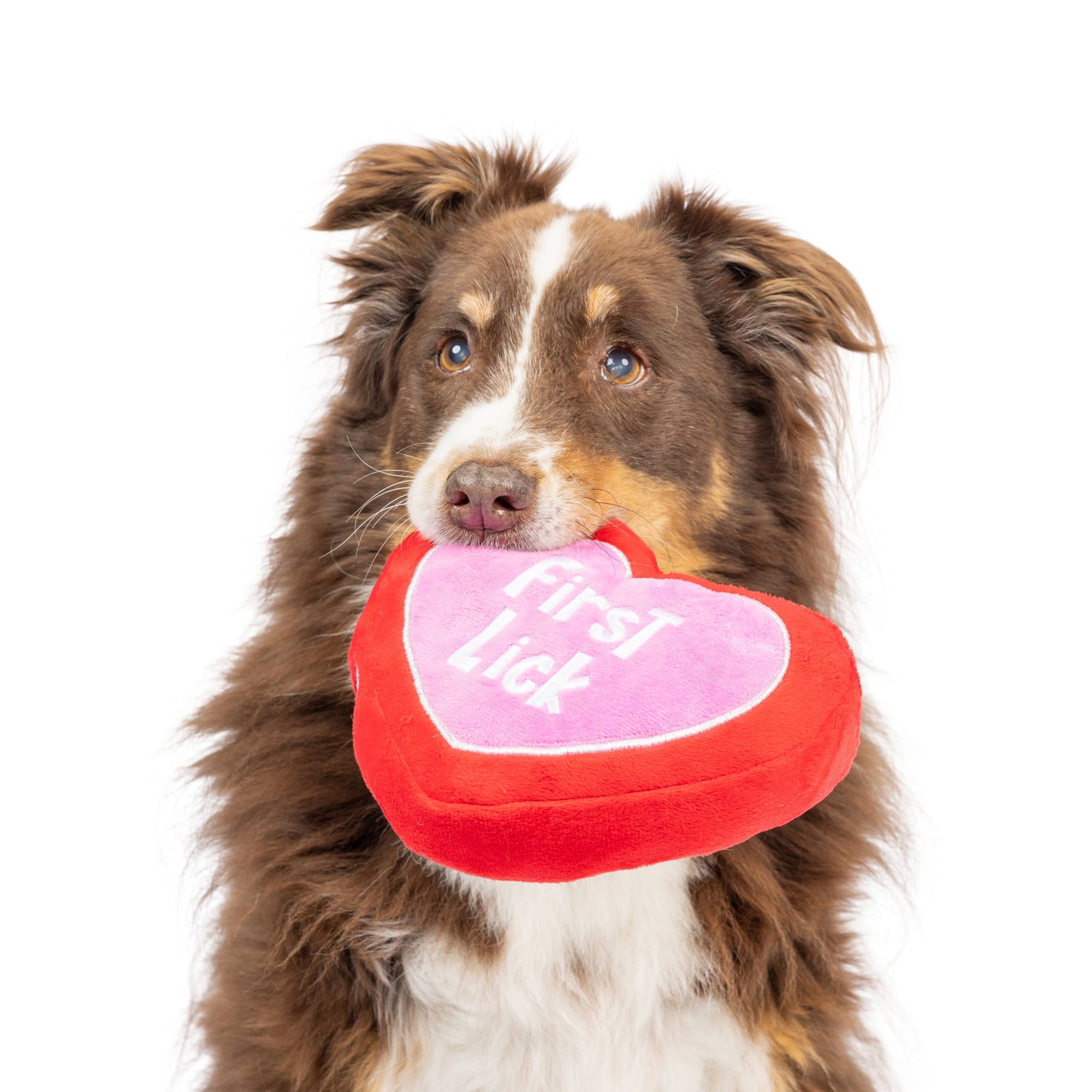 Huxley & Kent - First Lick Heart Dog Toy (Double-Sided): Small