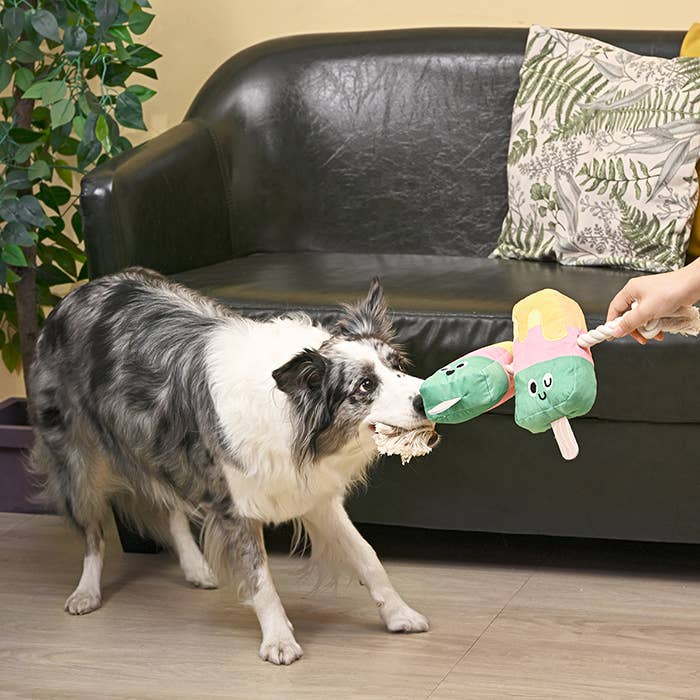 Hugsmart Products Inc -Beach Daze Twin Pop Dog Rope Toy