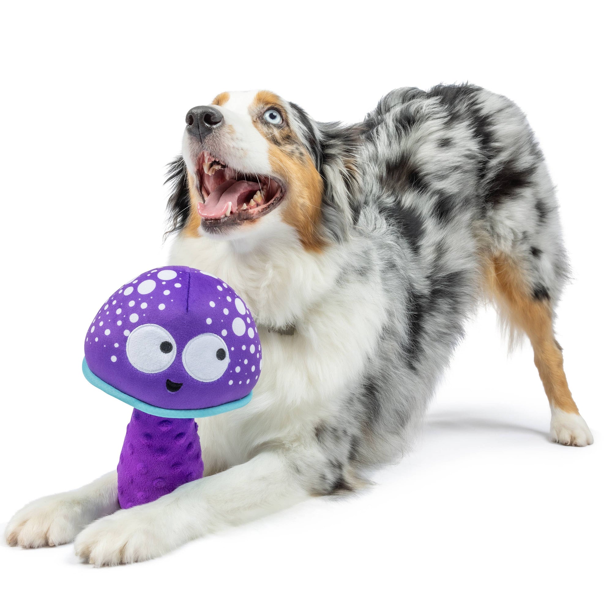 Huxley & Kent - Fetchies® Mellow Mushroom Dog Toy: Large