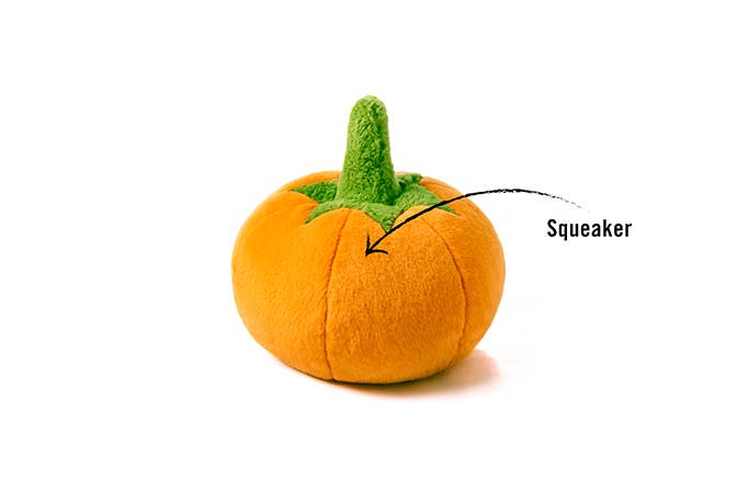 P.L.A.Y. Pet Lifestyle and You - Garden Fresh - Pumpkin: 7 x 7 x 5.5
