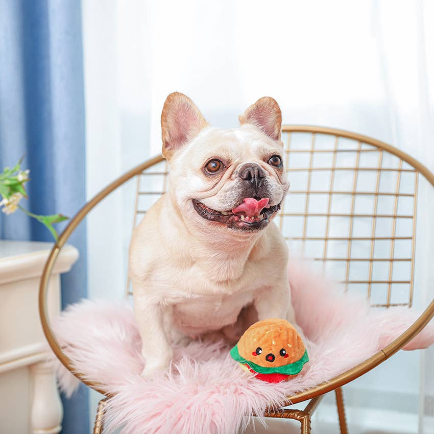 Hugsmart Products Inc - Food Party Hamburger Dog Ball Toy