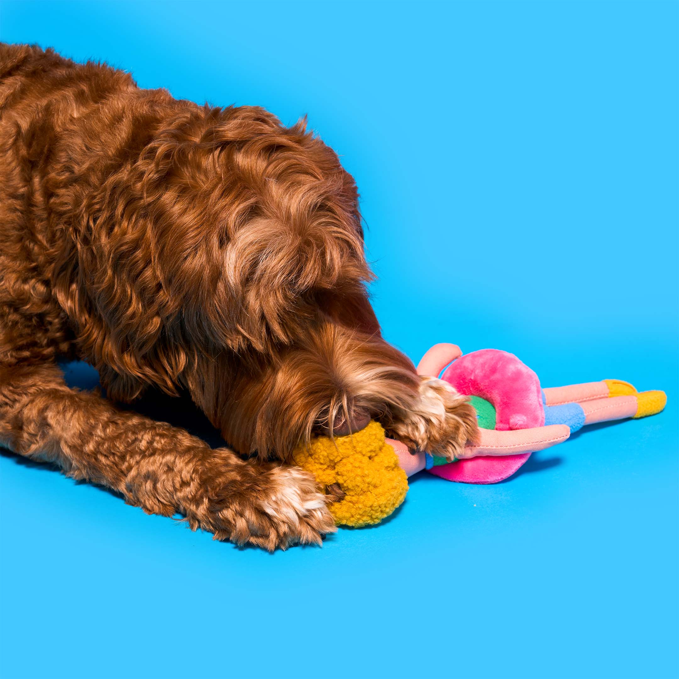 the furryfolks - Flamingo Hooman Nosework Toy