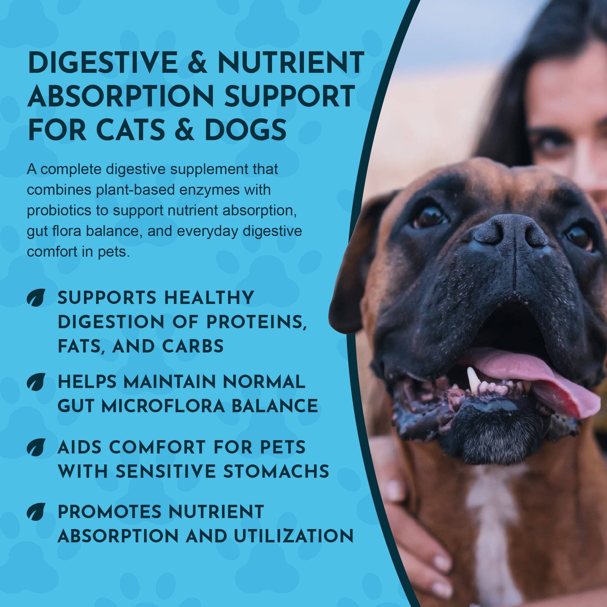 Animal Essentials - Plant Enzyme and Probiotic Powder | Digestive Support: 100g