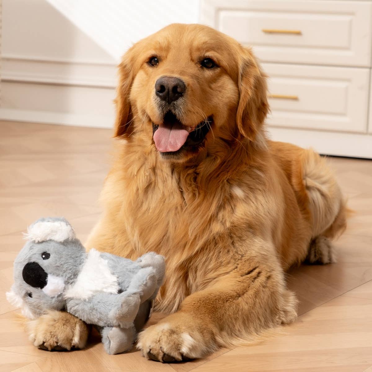 Tall Tails - Koala with Squeaker Dog Toy