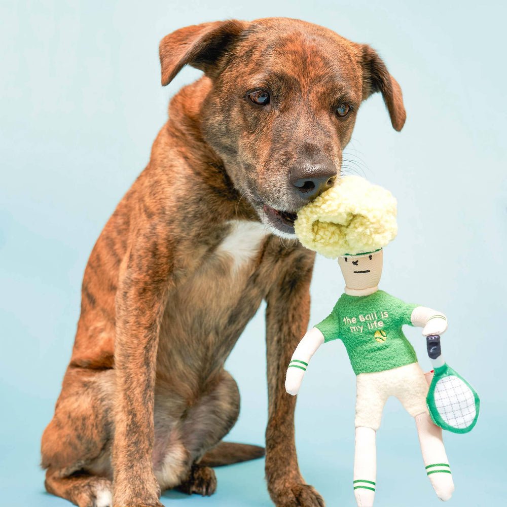 
                  
                    the furryfolks - Tennis Hooman Nosework Toy
                  
                