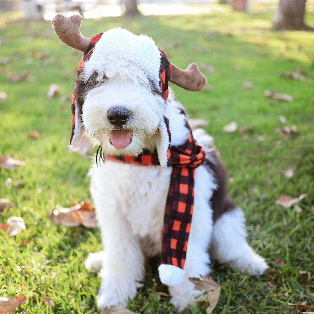 Huxley & Kent - H&K Hat Antler Buffalo Check with SnugFit®: XL