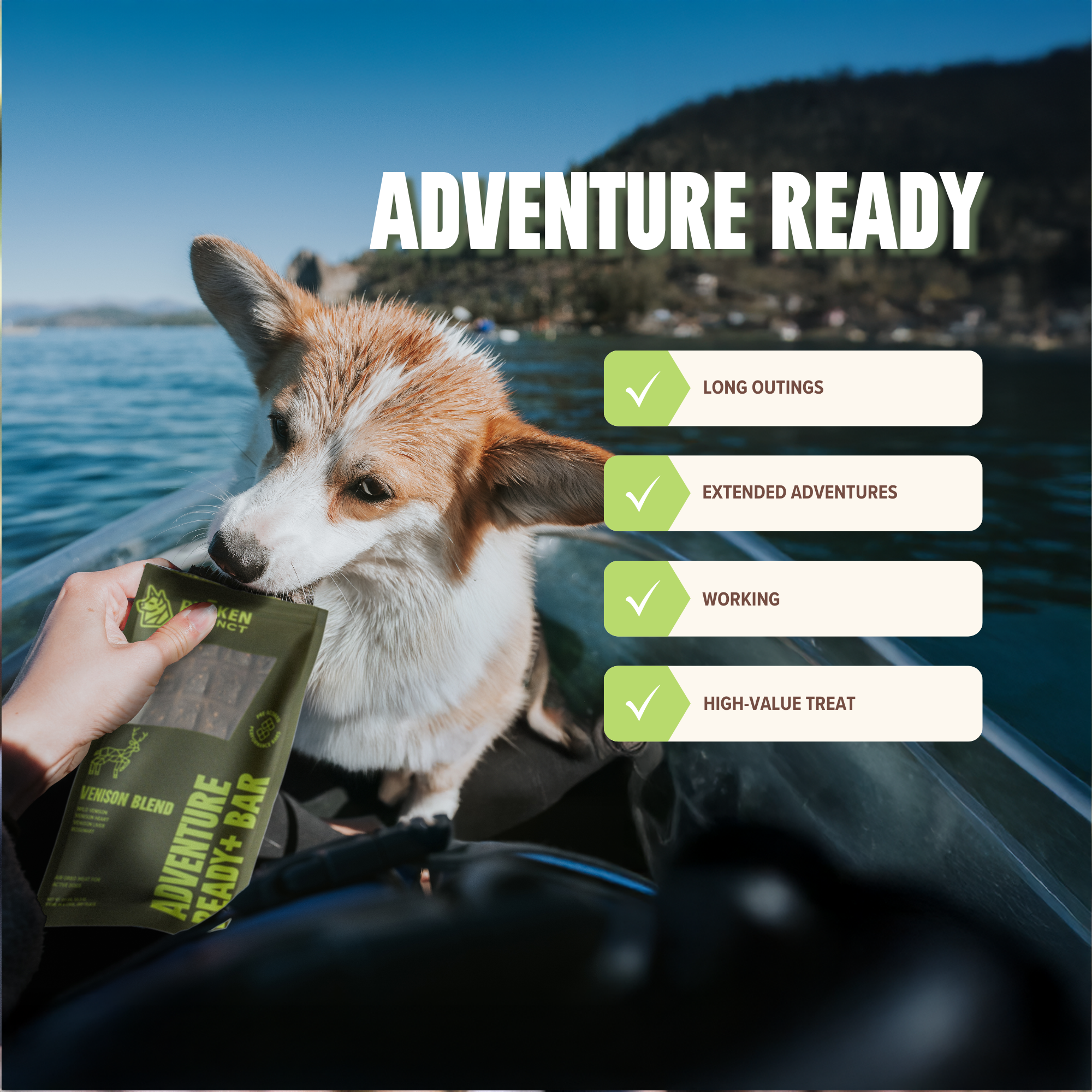 RYŌKEN INSTINCT - Venison Treat & Snack Bar for Active Dog - Energy & Recovery