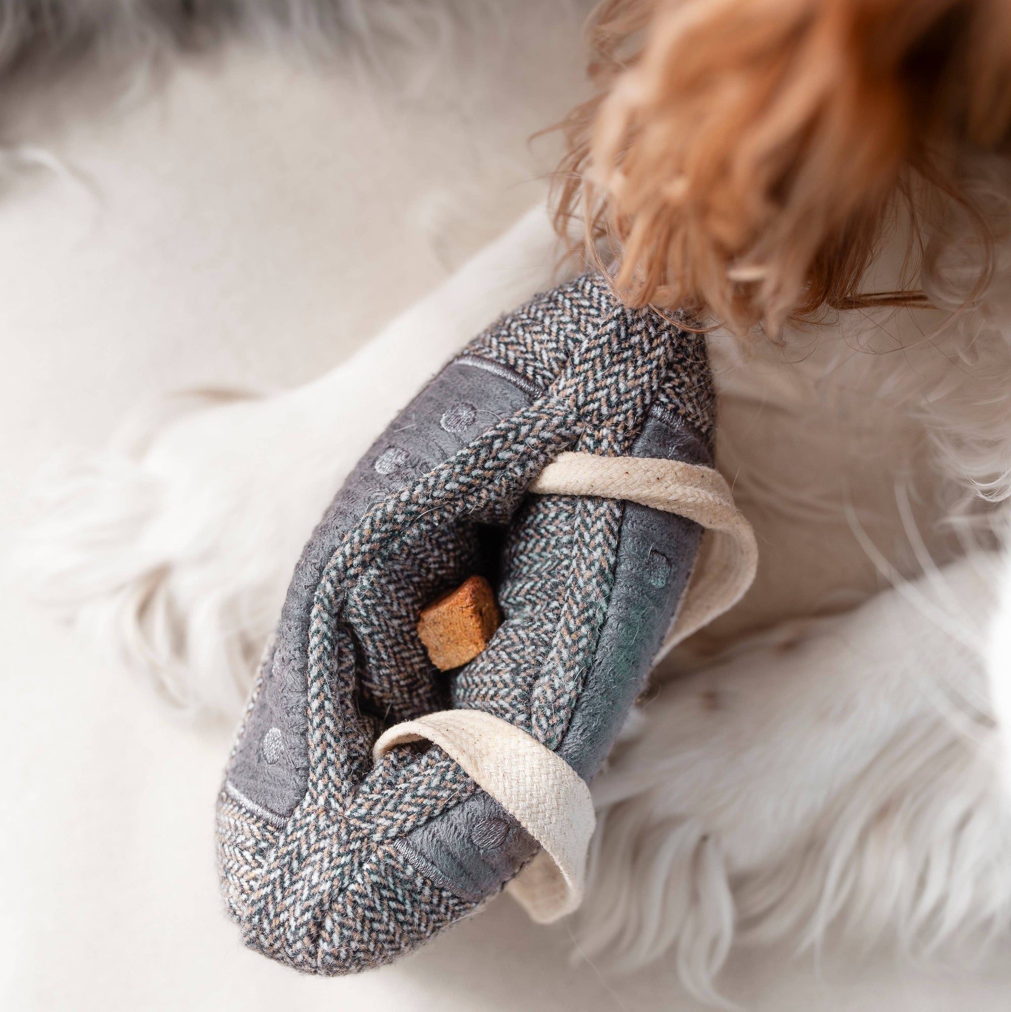 Lambwolf Collective - CASSETTE // ENRICHMENT DOG TOY