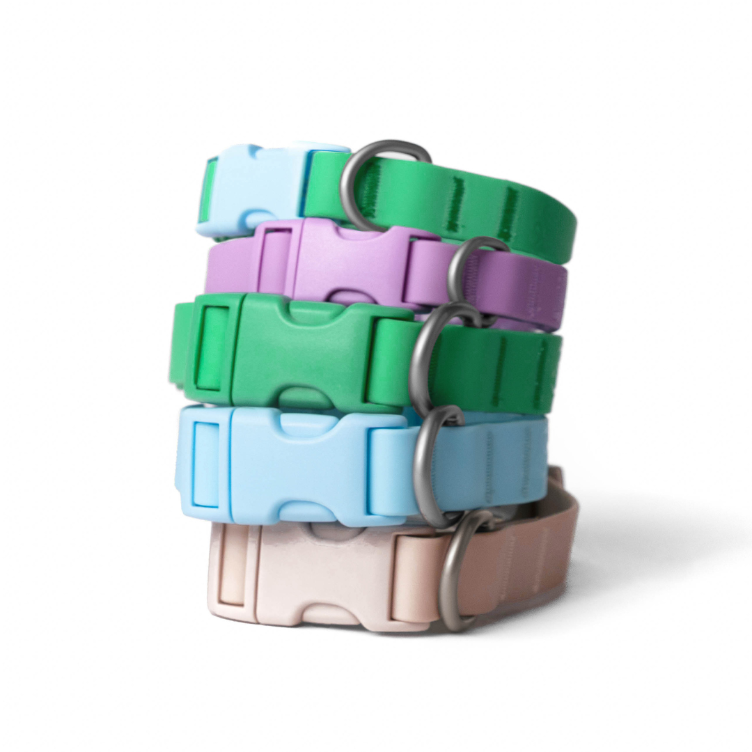 Springland Pets - Waterproof & Adjustable Dog Collar (Small, Medium, Large)