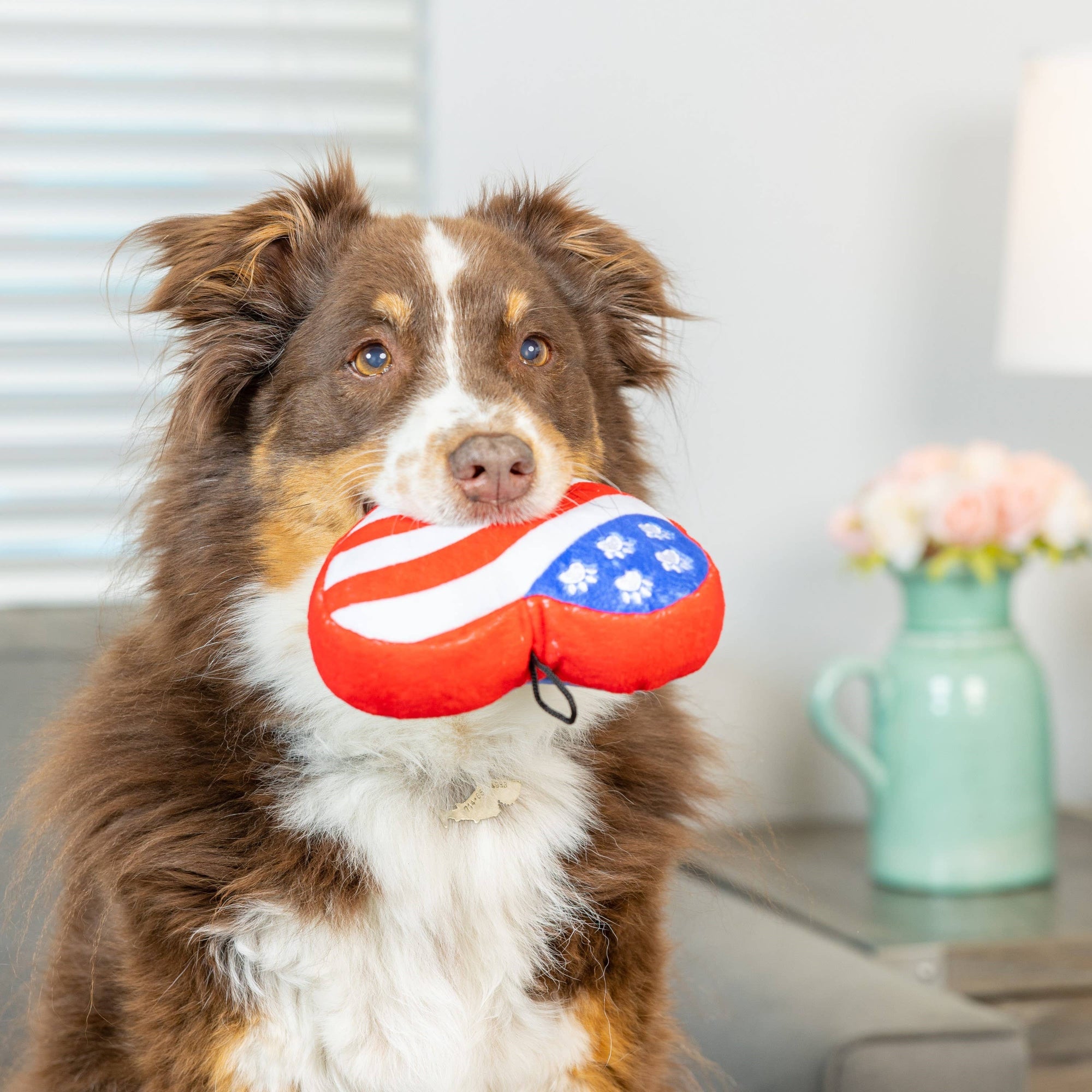 Huxley & Kent - Paws & Stripes Heart Dog Toy