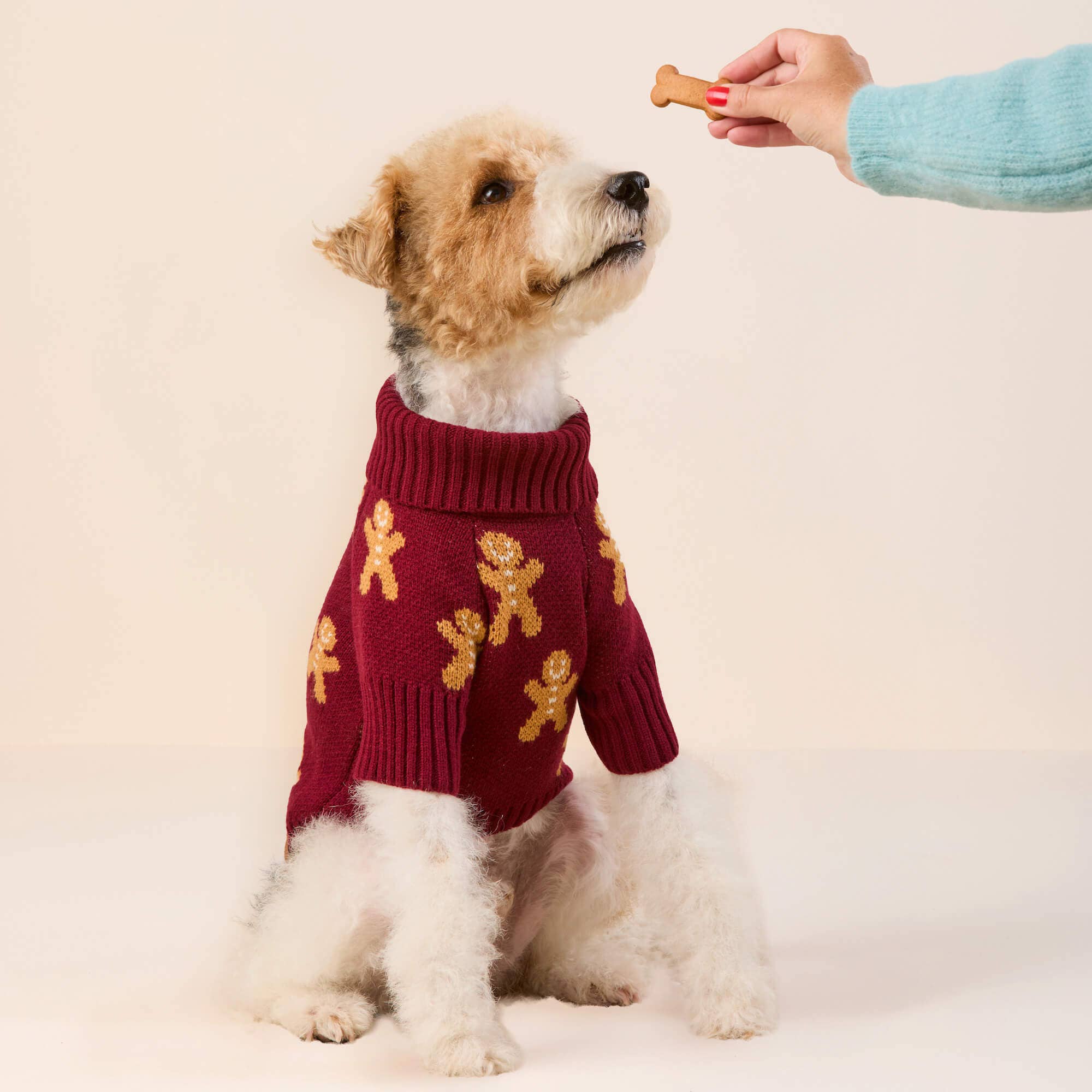 The Foggy Dog - Gingerbread Man Dog Sweater: M