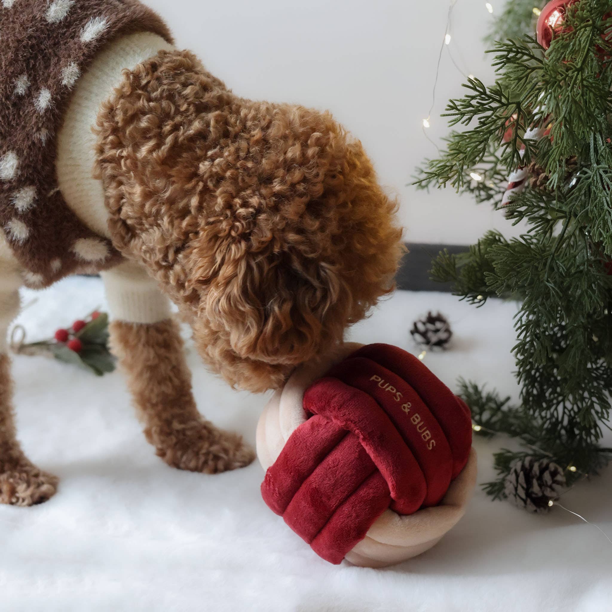 Pups & Bubs - Jingle Knot Nosework Toy
