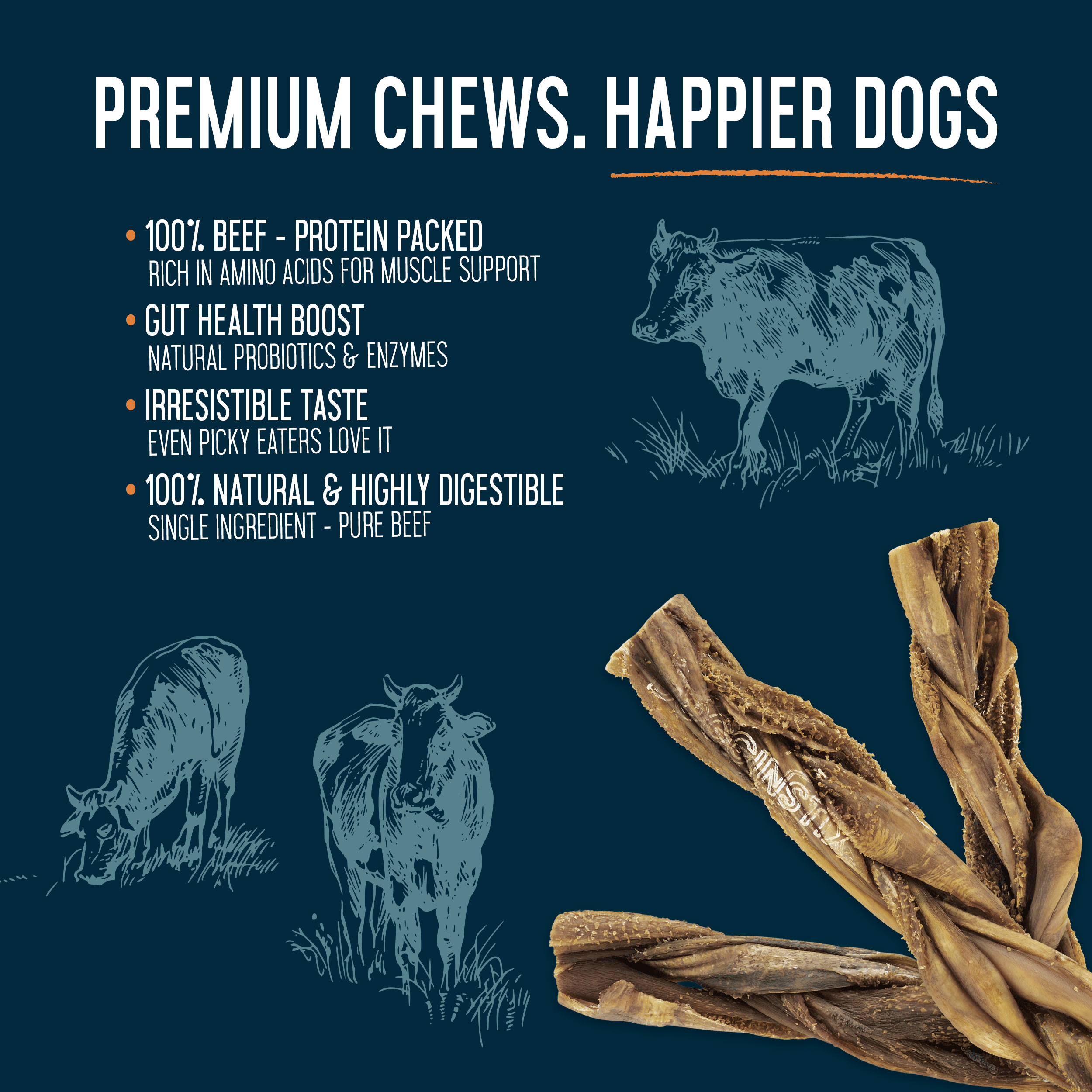 Dogginstix - 12" Braided Beef Tripe Sticks