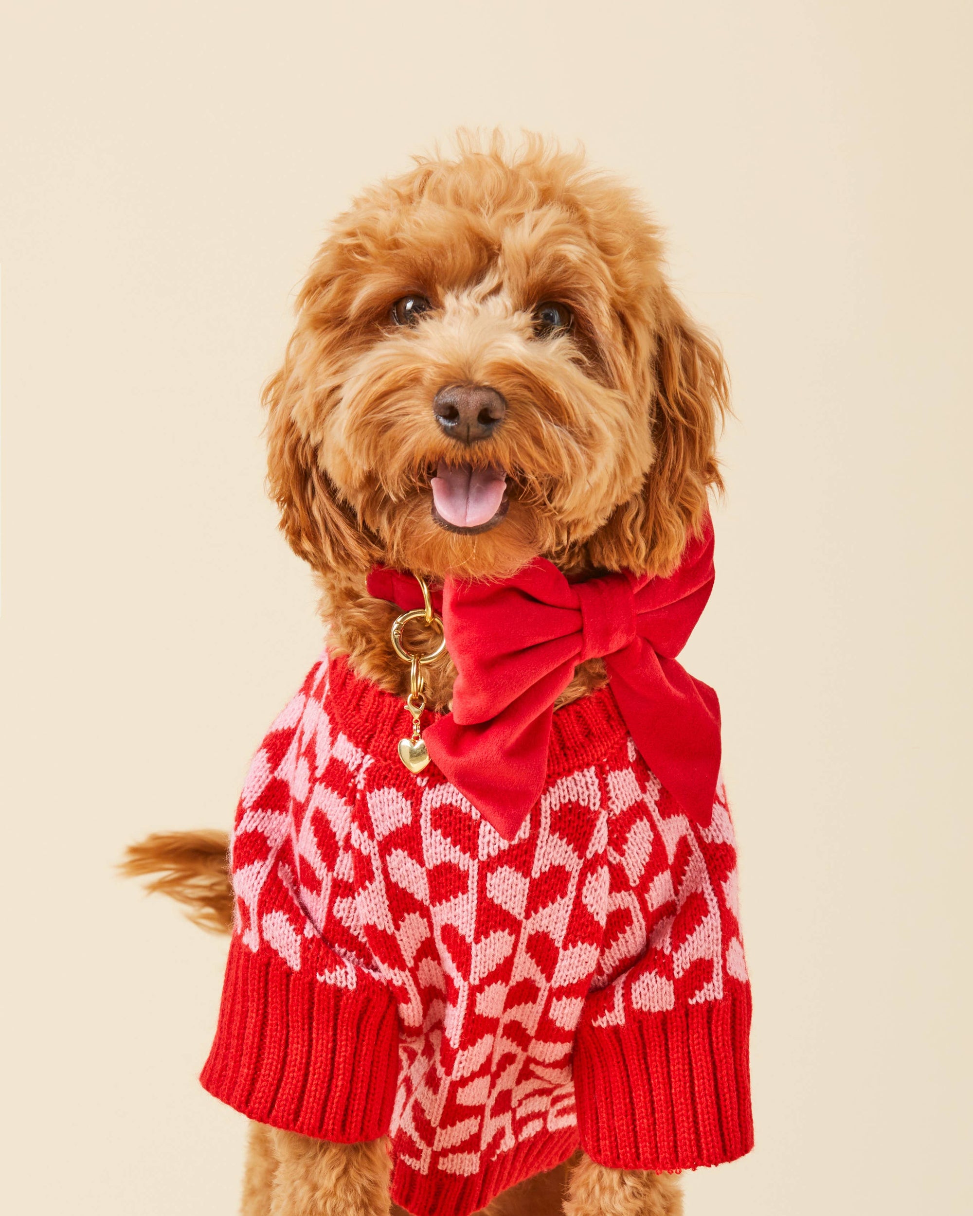 The Foggy Dog - Heart Stripe Valentine's Day Dog Sweater: S