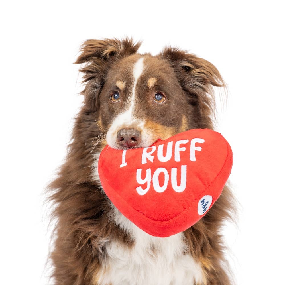 Huxley & Kent - First Lick Heart Dog Toy (Double-Sided): Small