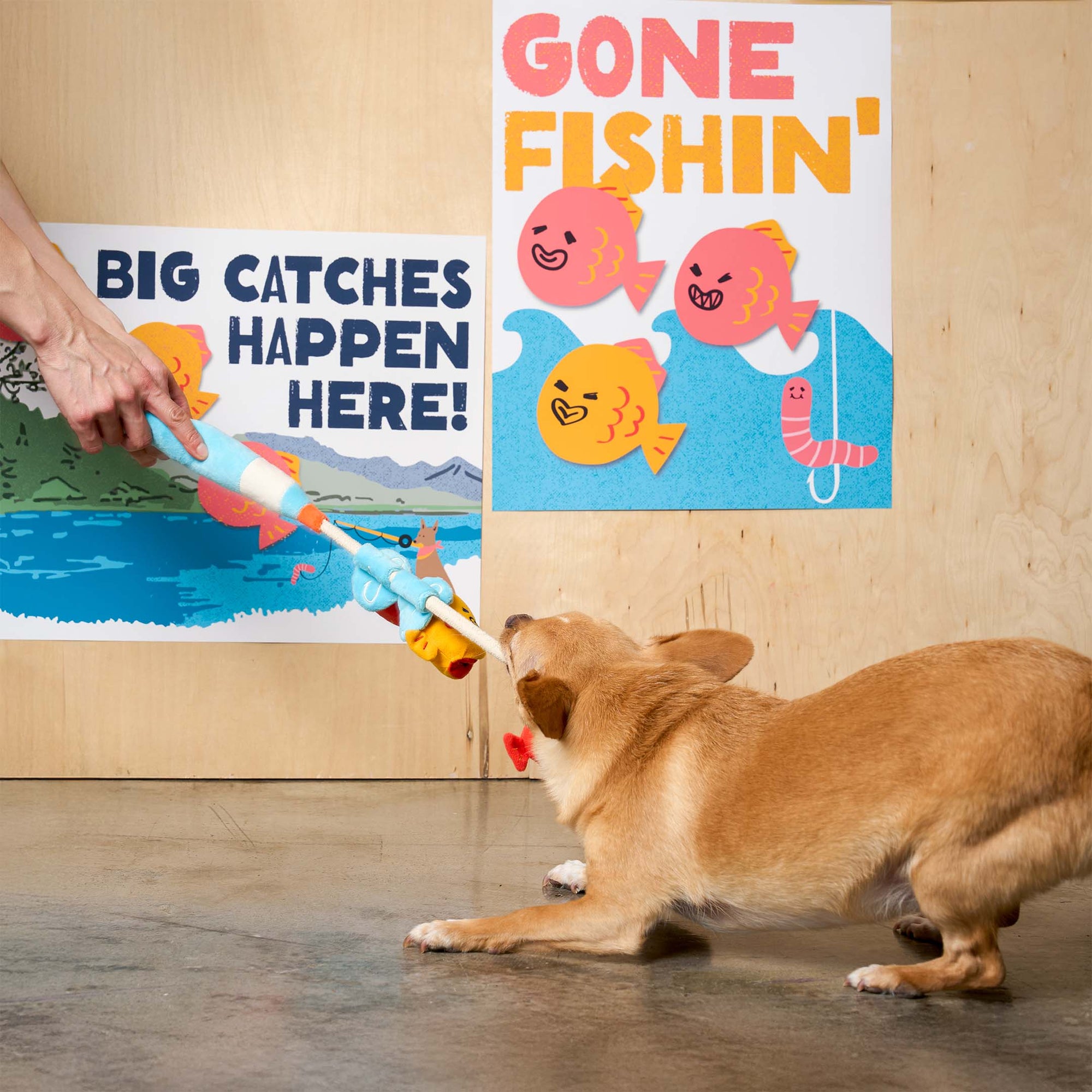 the furryfolks - Fishing Nosework & Tug Toy
