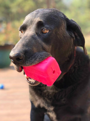 SodaPup - Retro Van Chew Toy & Treat Dispenser - Pink: Pink