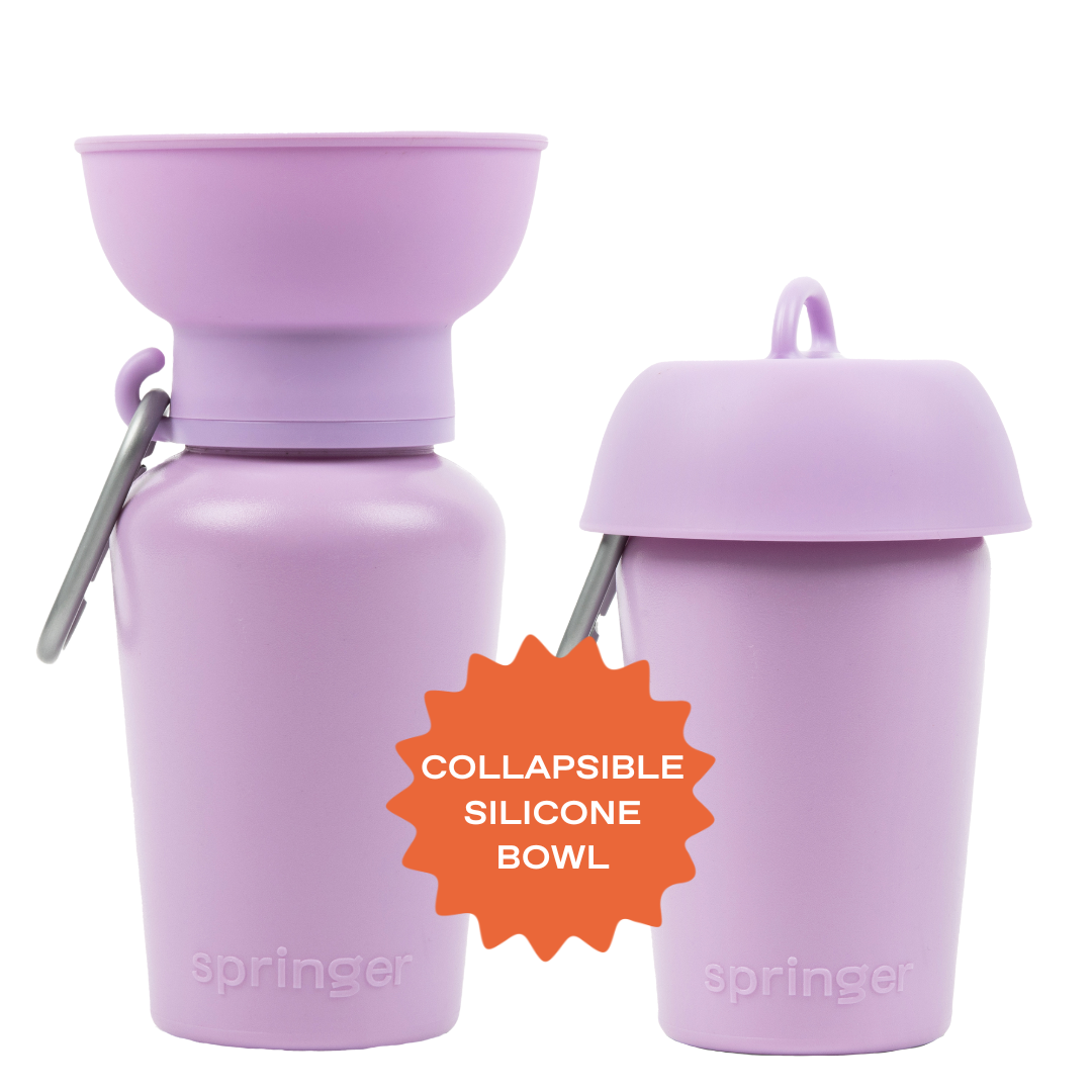 Springer Pets - Dog Travel Water Bottle, 20oz, Flip Silicone (12 Pack): Mixed (12 Pack)