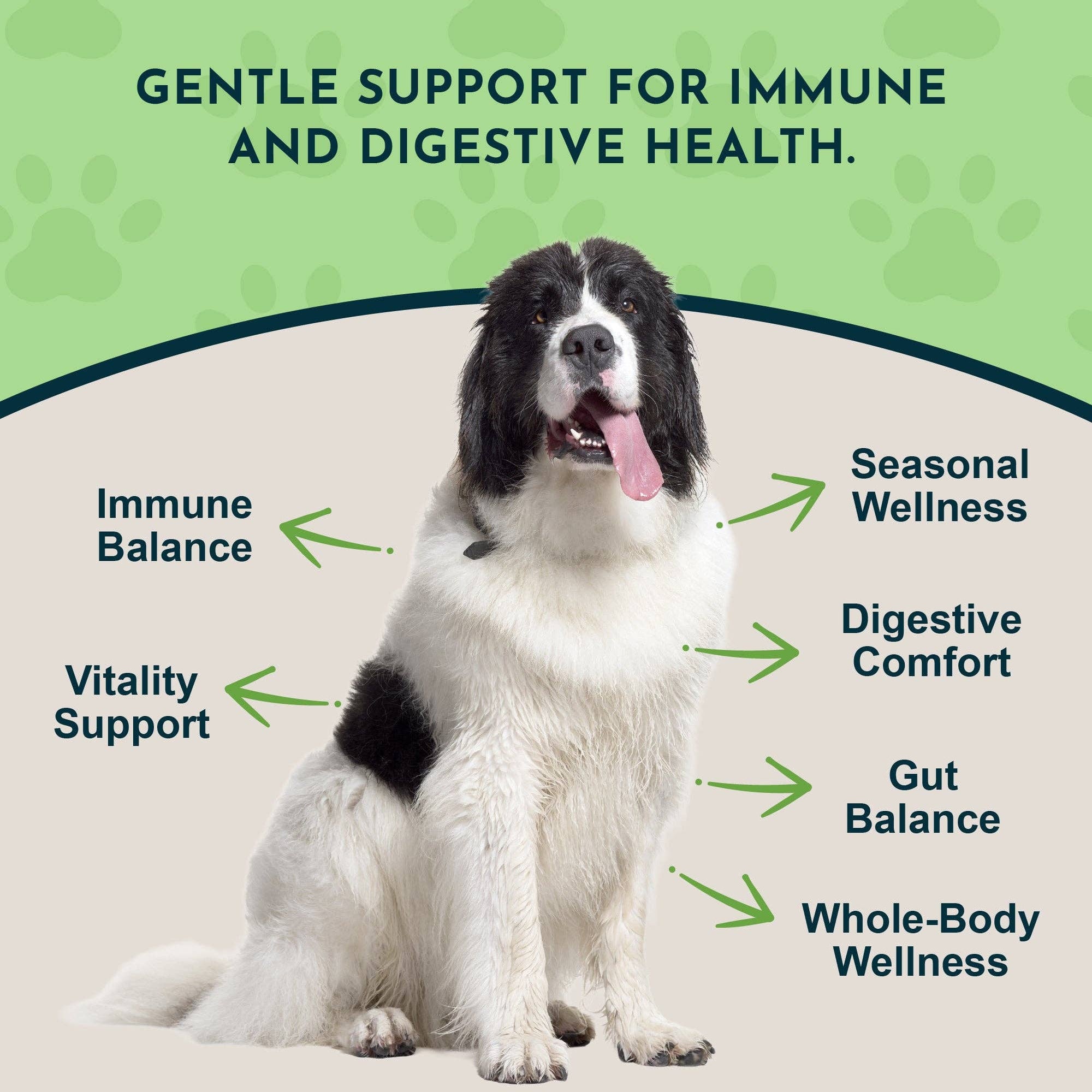 Animal Essentials - Garlic Single Herb Tonic | Antioxidant Protection: 1oz
