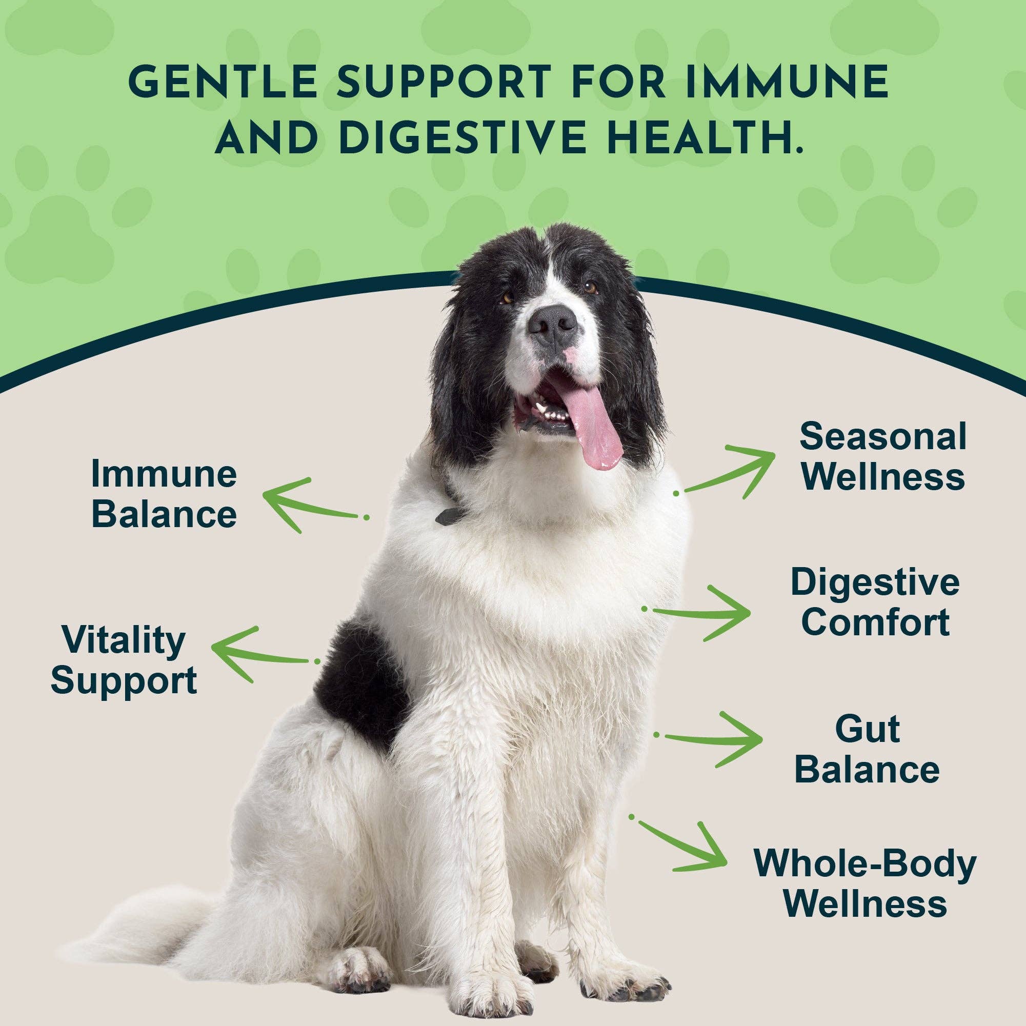Animal Essentials - Garlic Single Herb Tonic | Antioxidant Protection: 1oz