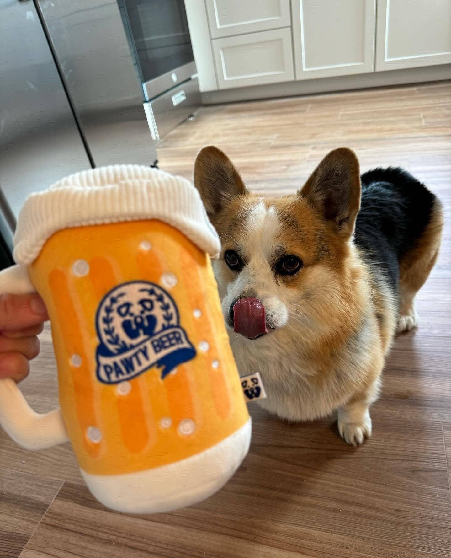 PAWTY Dog Toys - PAWTY Beer